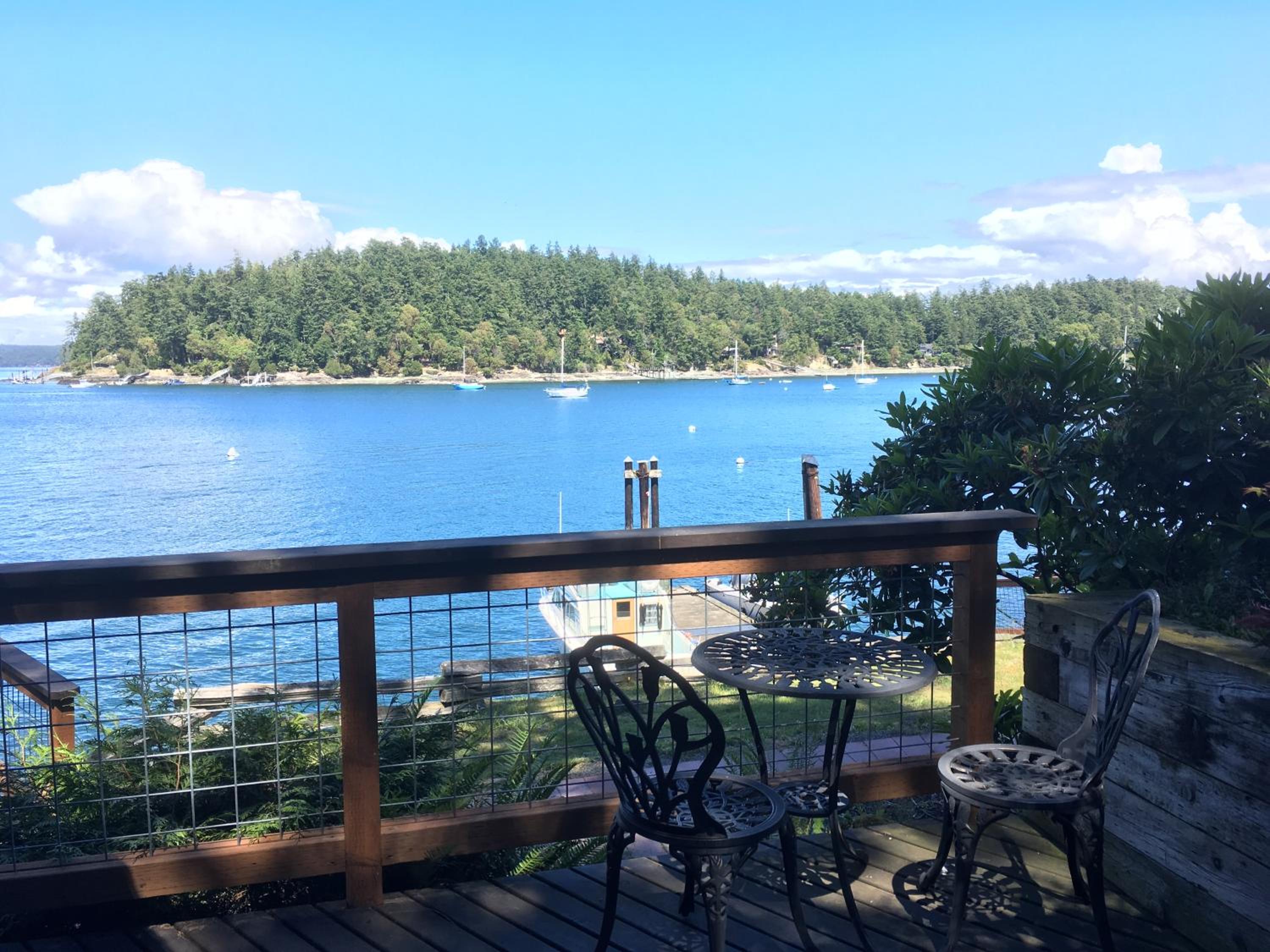 Friday Harbor Lights