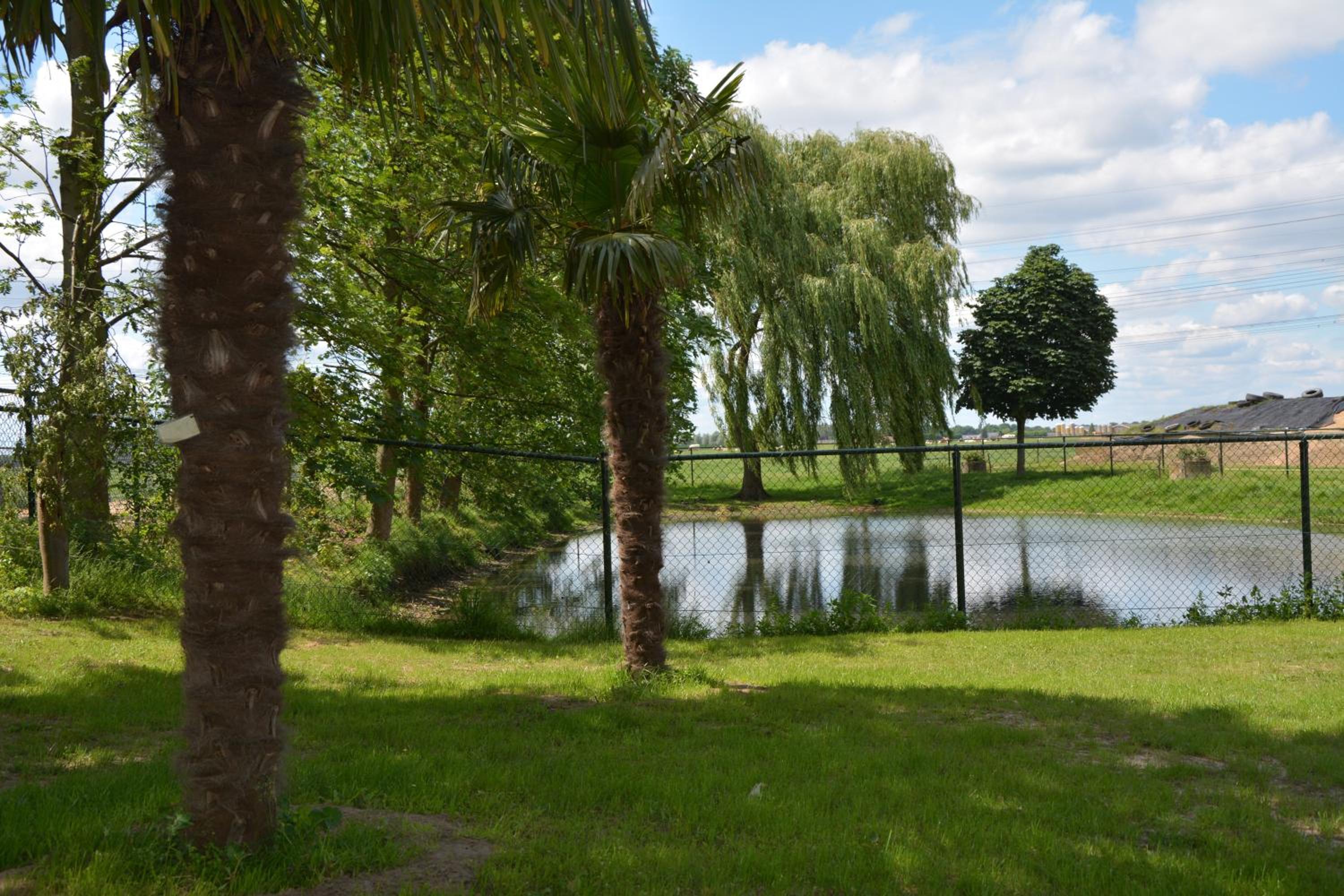 Keyserbosch-Hof view 5