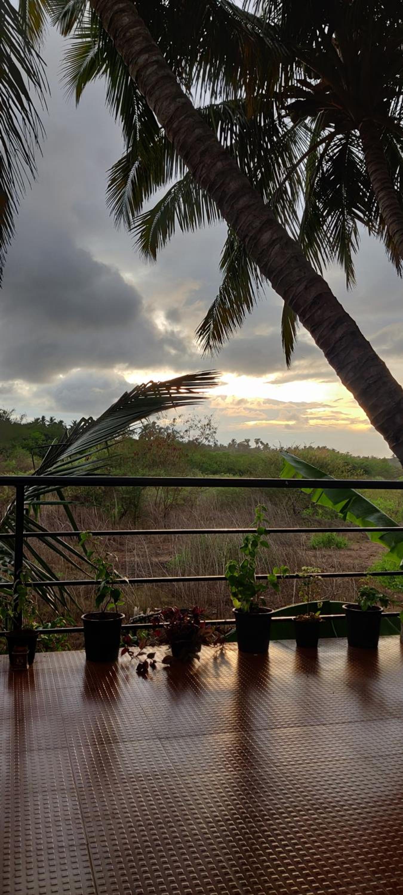 Bageecha B&B- Vaayu, photo 55