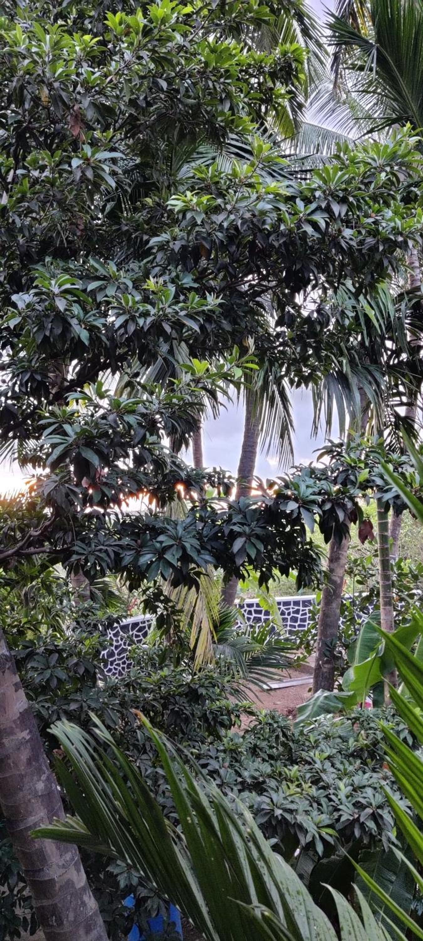 Bageecha B&B- Vaayu, photo 35