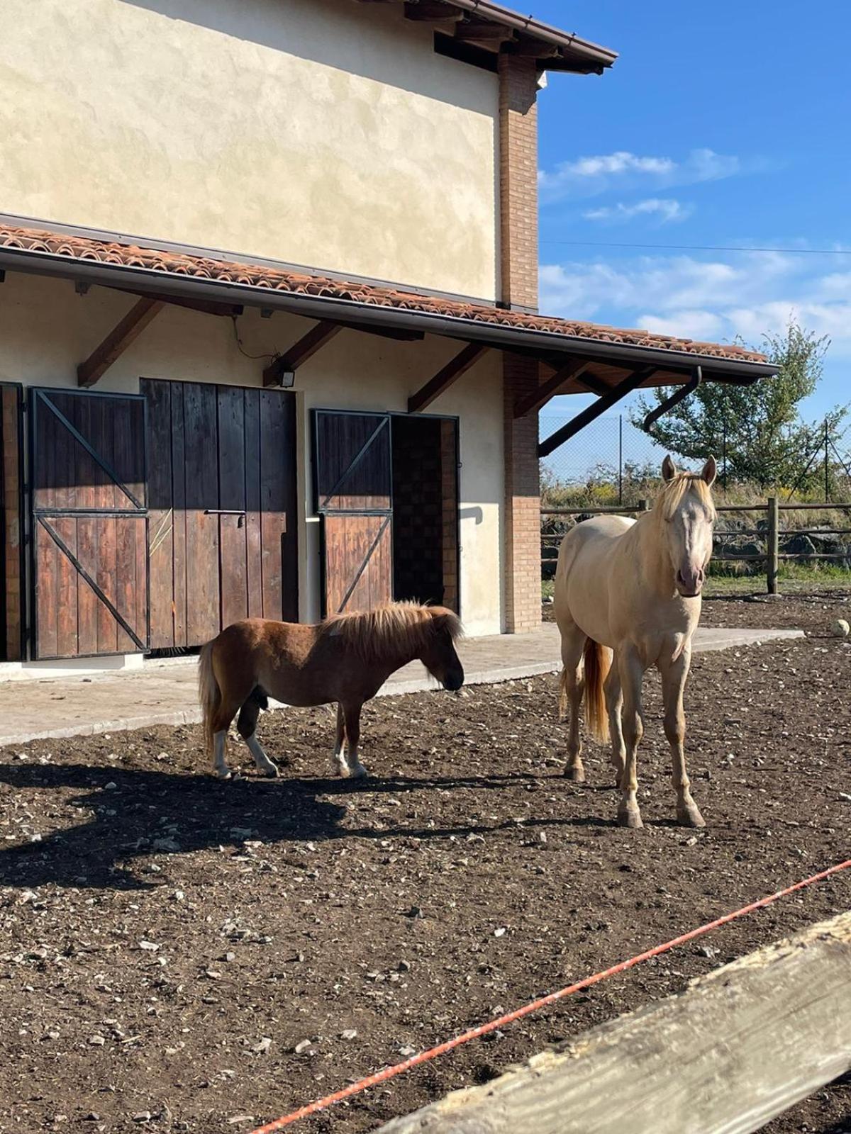 Agriturismo cergallina