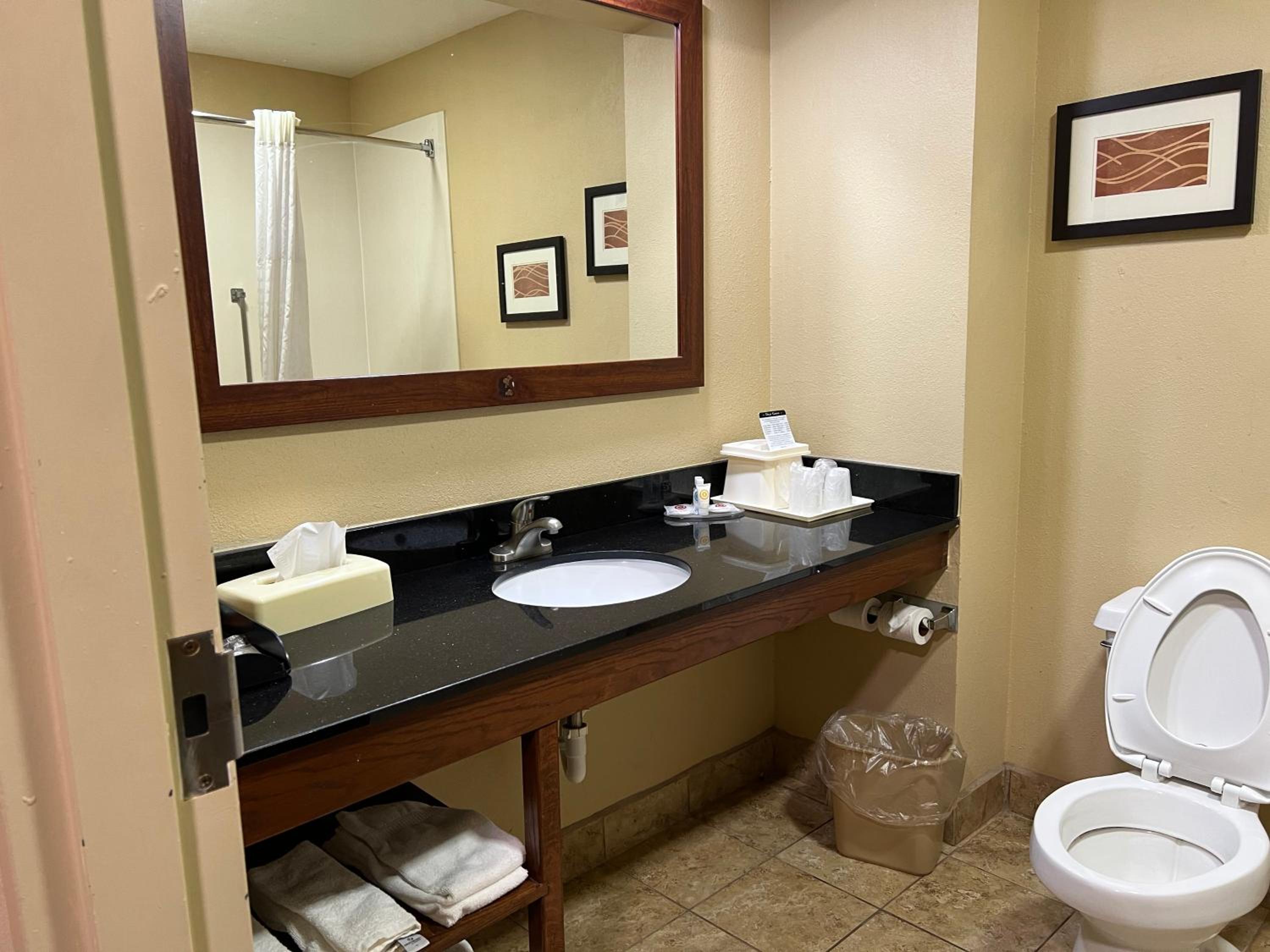 Comfort Inn Livingston, Photo 32