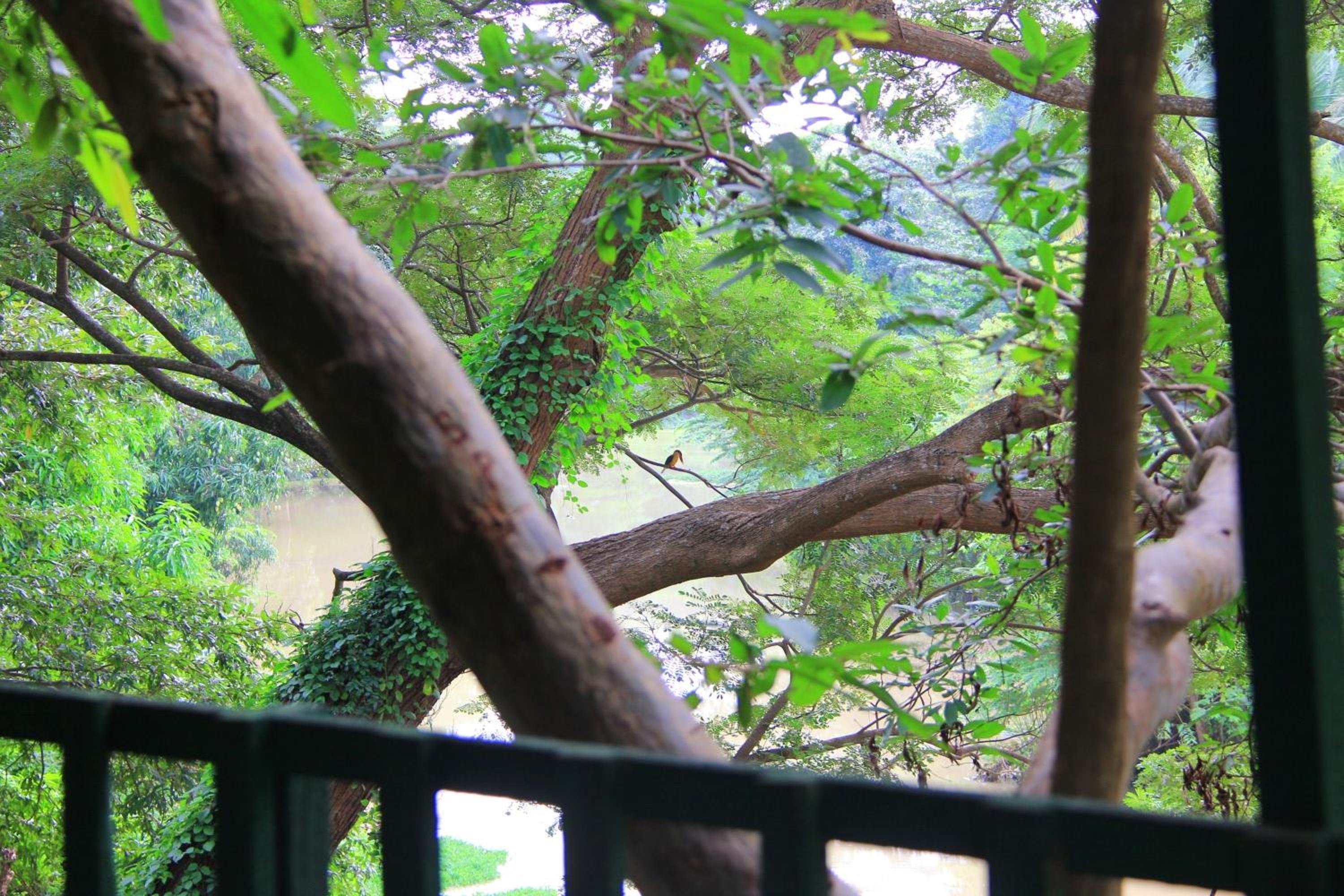 Photo 46