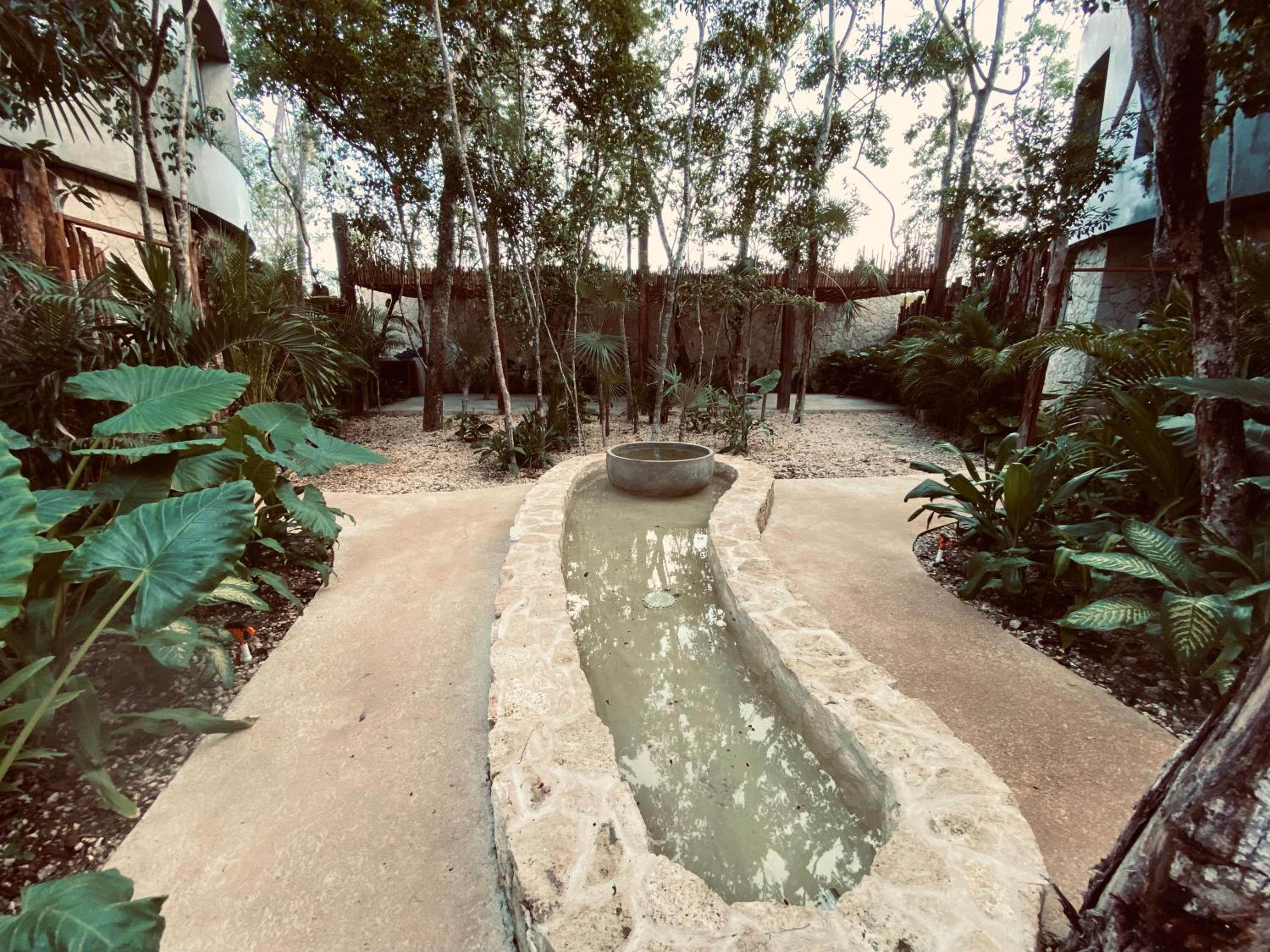 Boho Jungle Villa -Pvt Pool -Concierge-Hammock 7B view 2