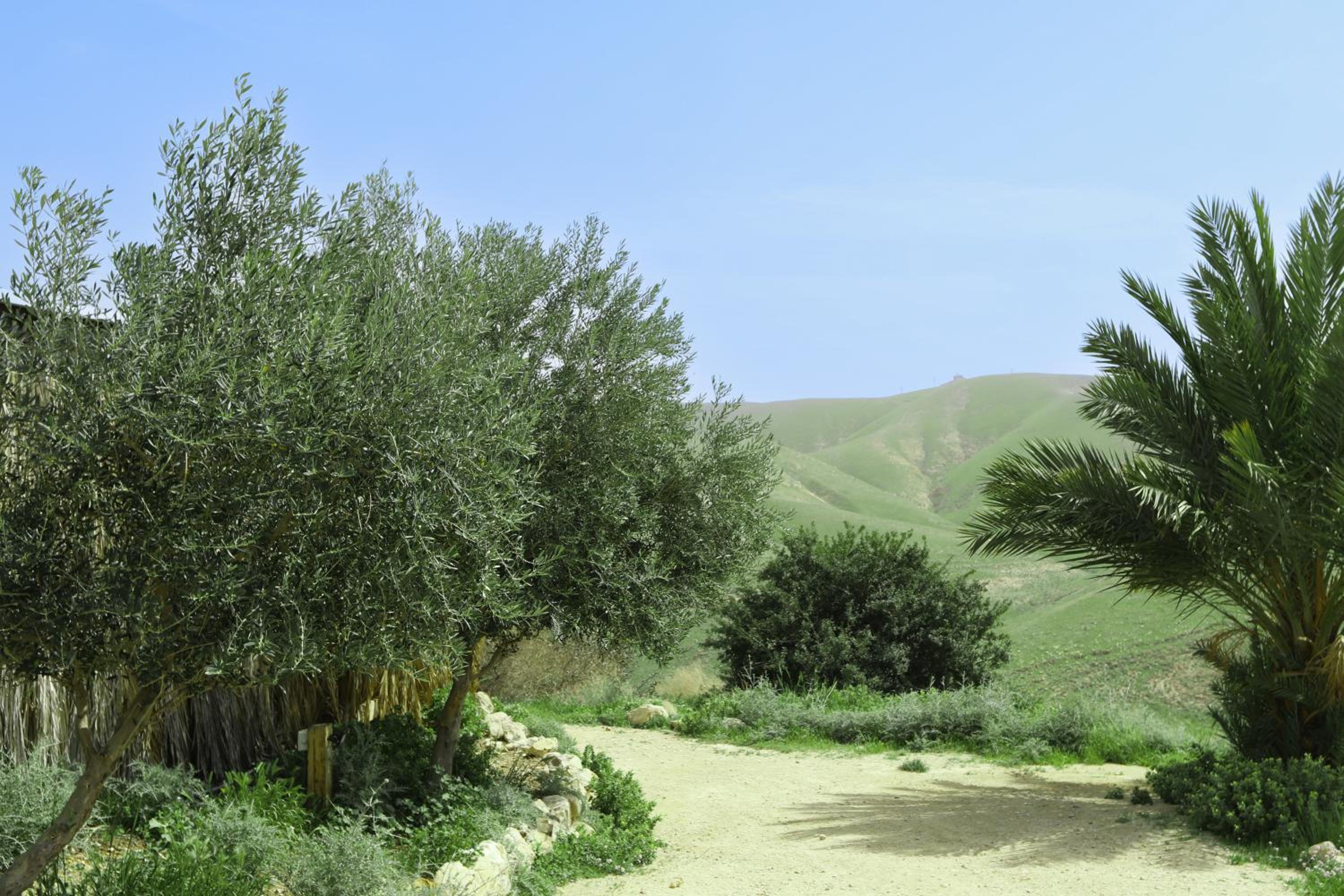 Genesis Land Desert hospitality
