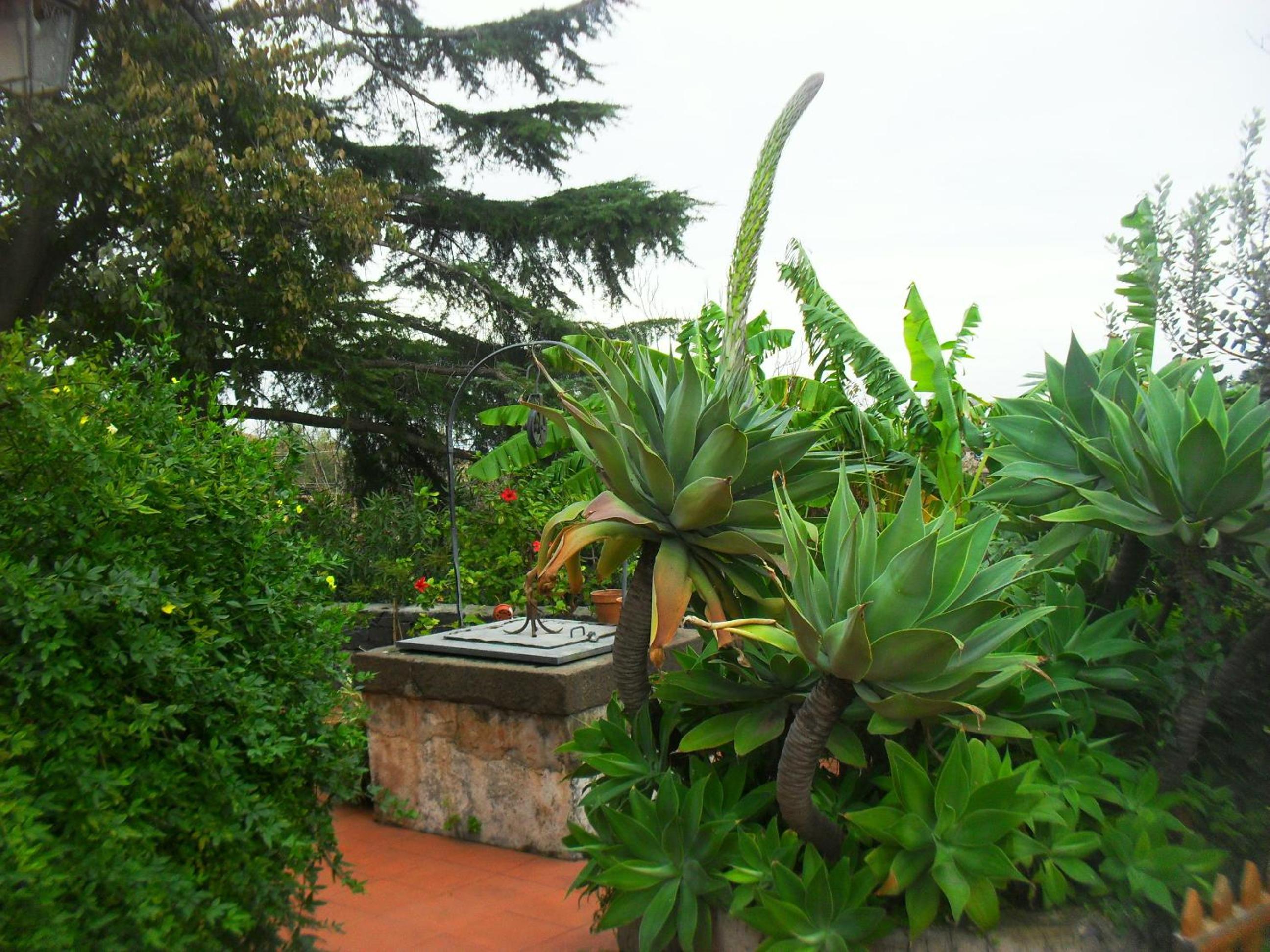 B&B Villa Lidia