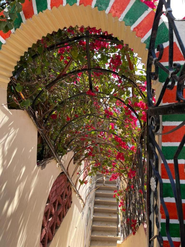 Nubian Dreams Guest House