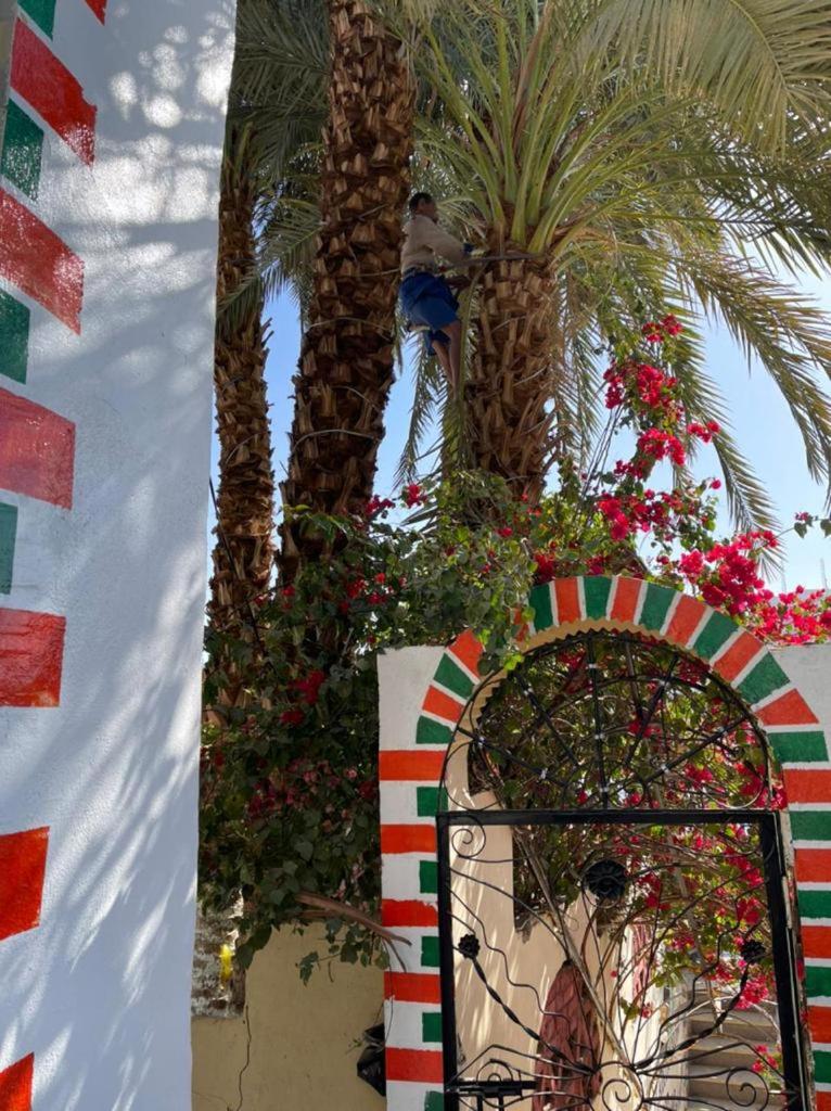 Nubian Dreams Guest House