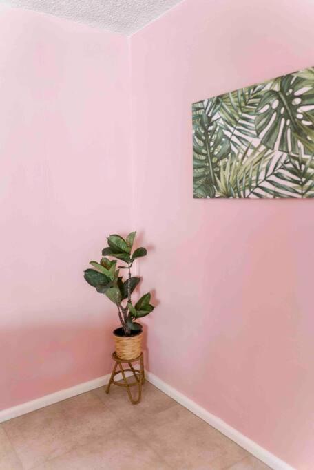 Paradise 31 - Pink oasis in the heart of the GC