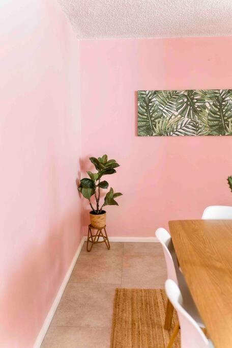 Paradise 31 - Pink oasis in the heart of the GC