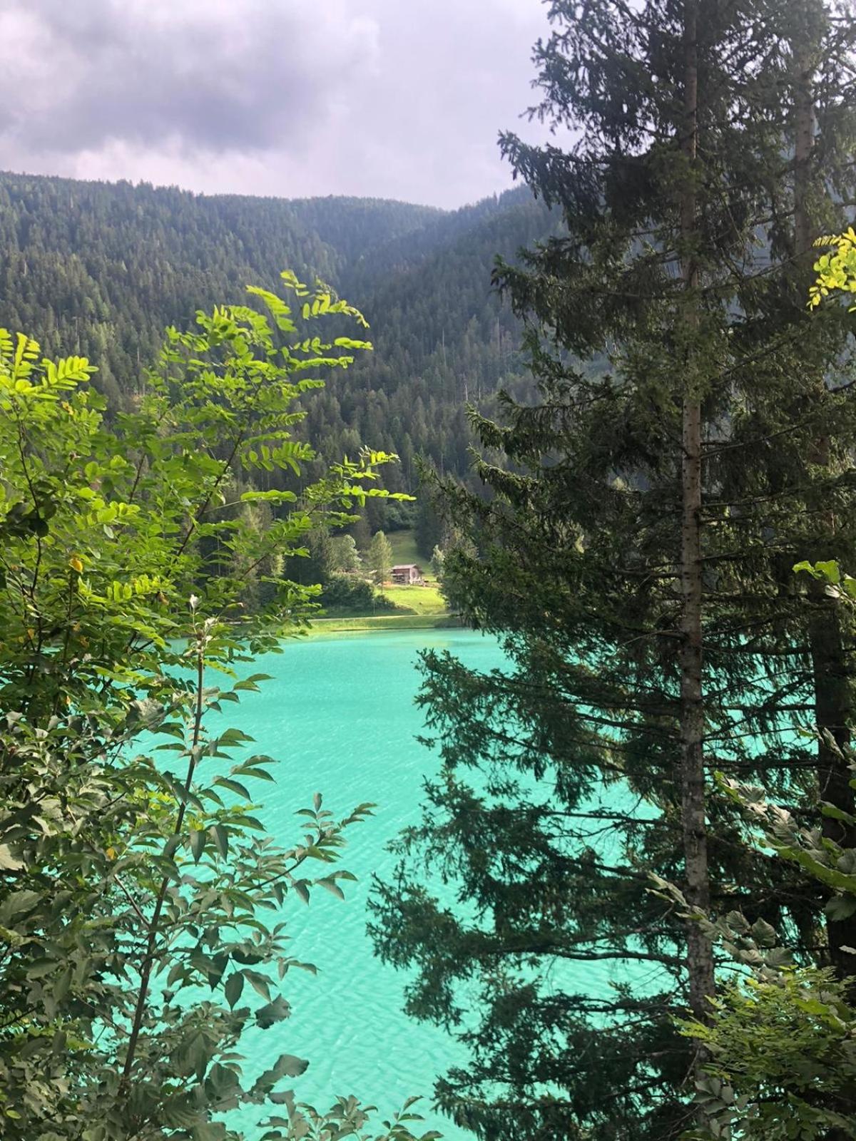B&B Dolomiti view 3