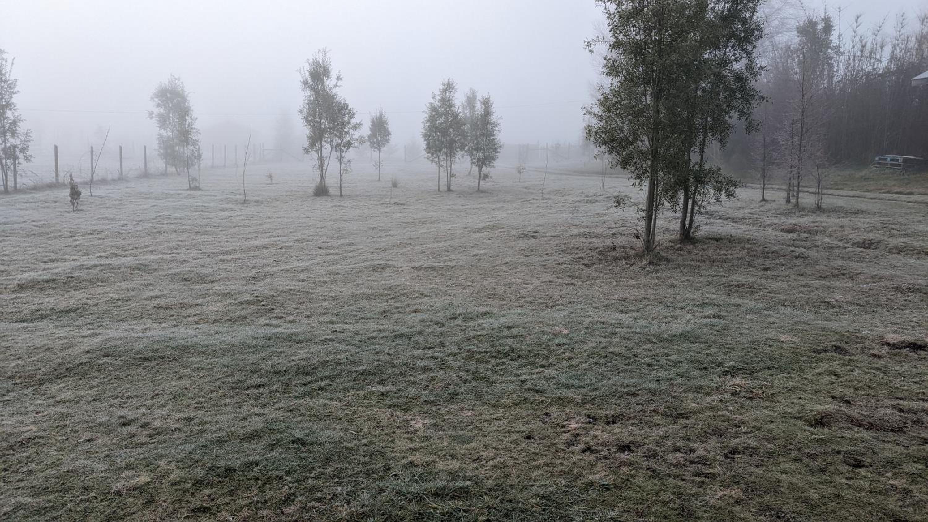 Cabaña Campestre con WIFI, desconexión total a 7 min de Villarrica