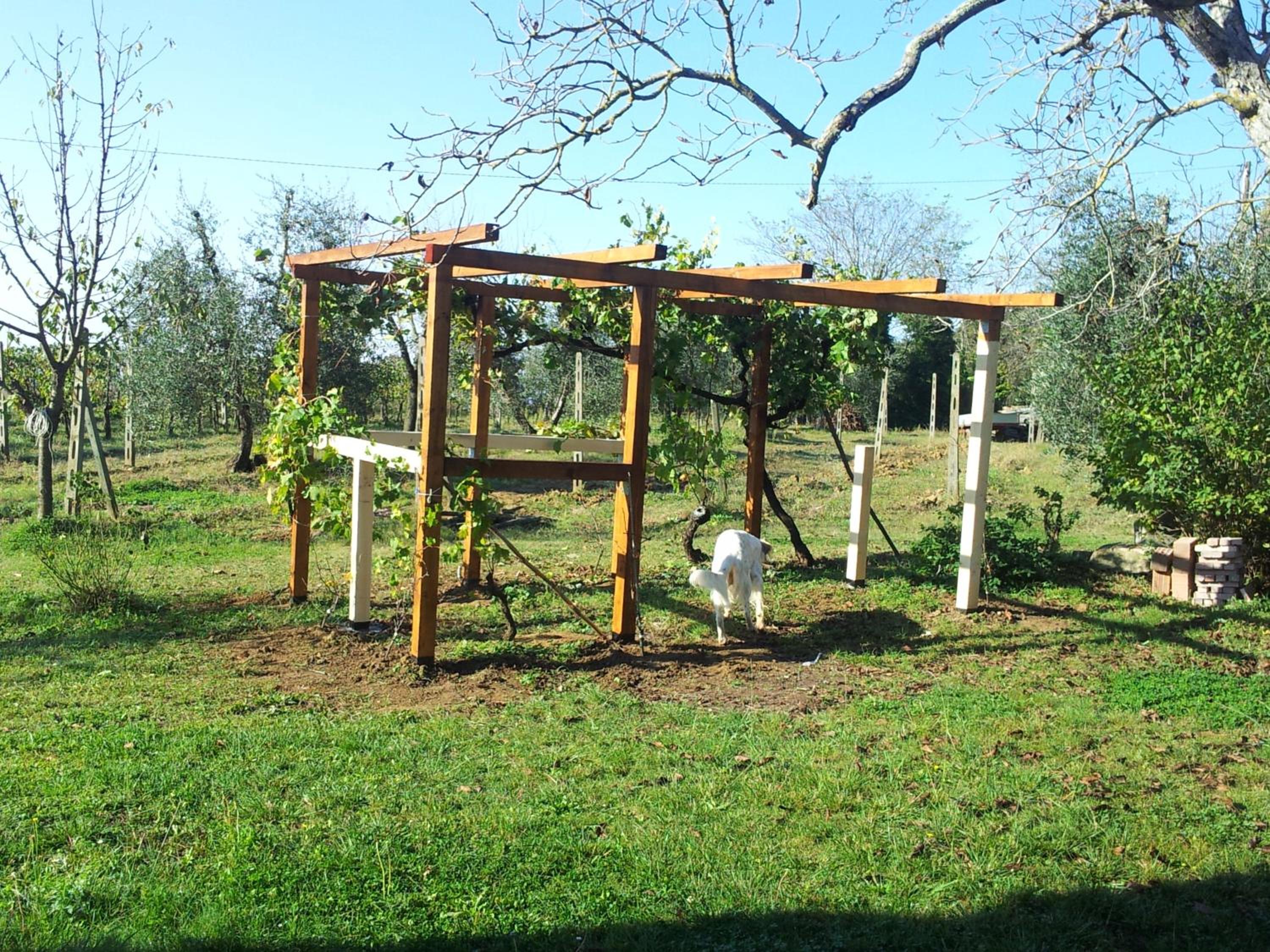 Podere San Quirico