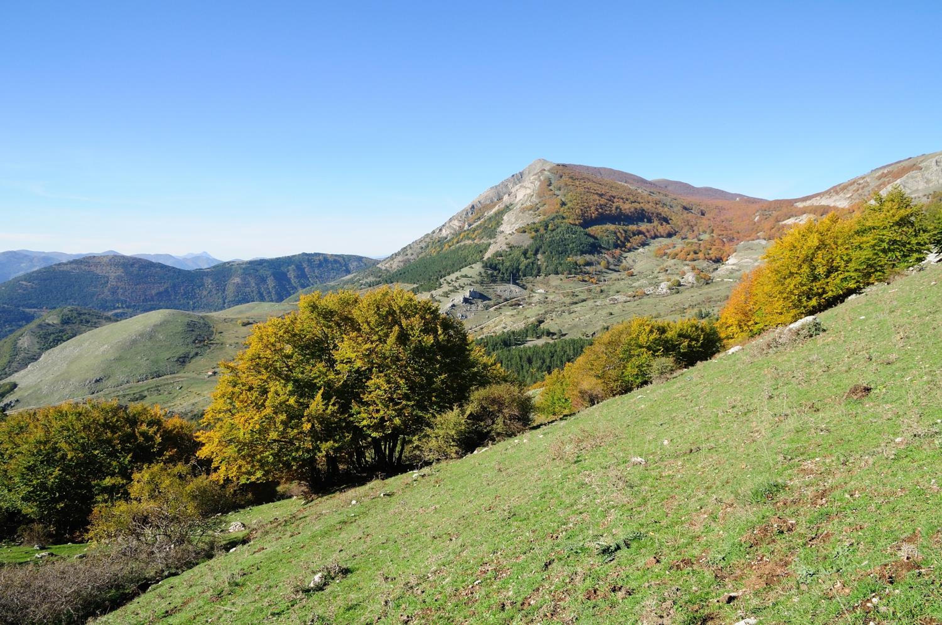 Azienda Agricola Il Querceto
