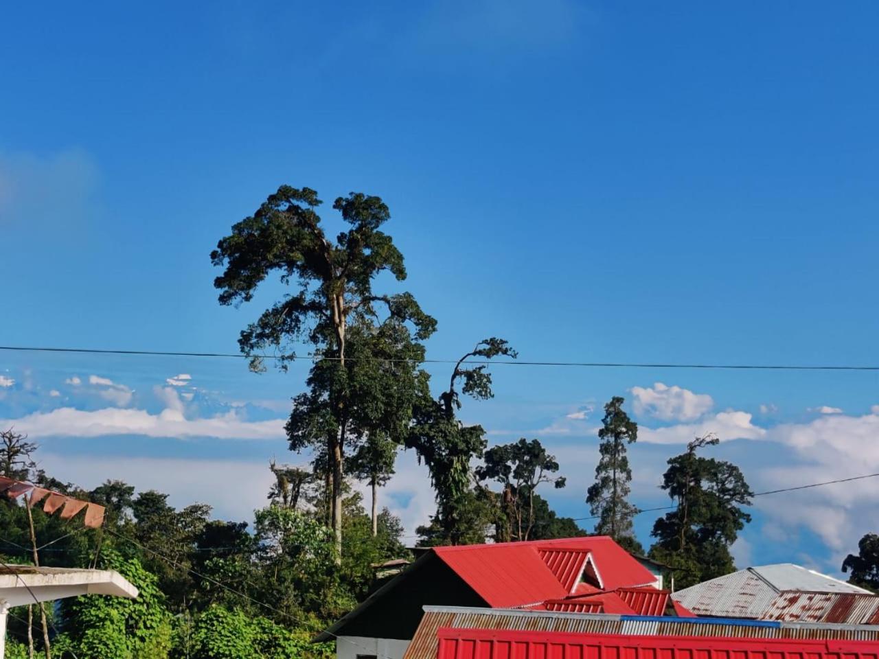 Nature's Lap Retreat view 5