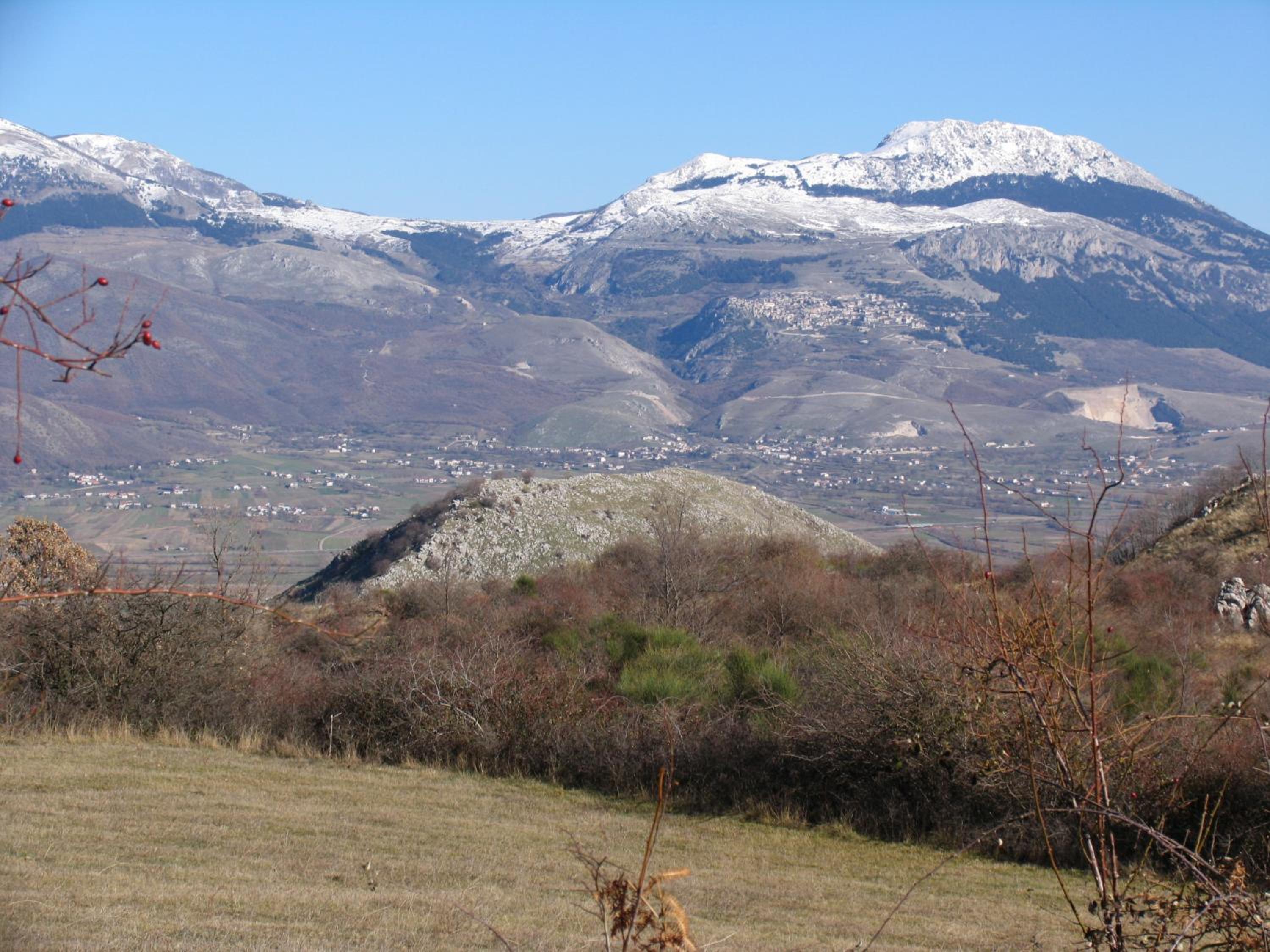 Azienda Agricola Il Querceto