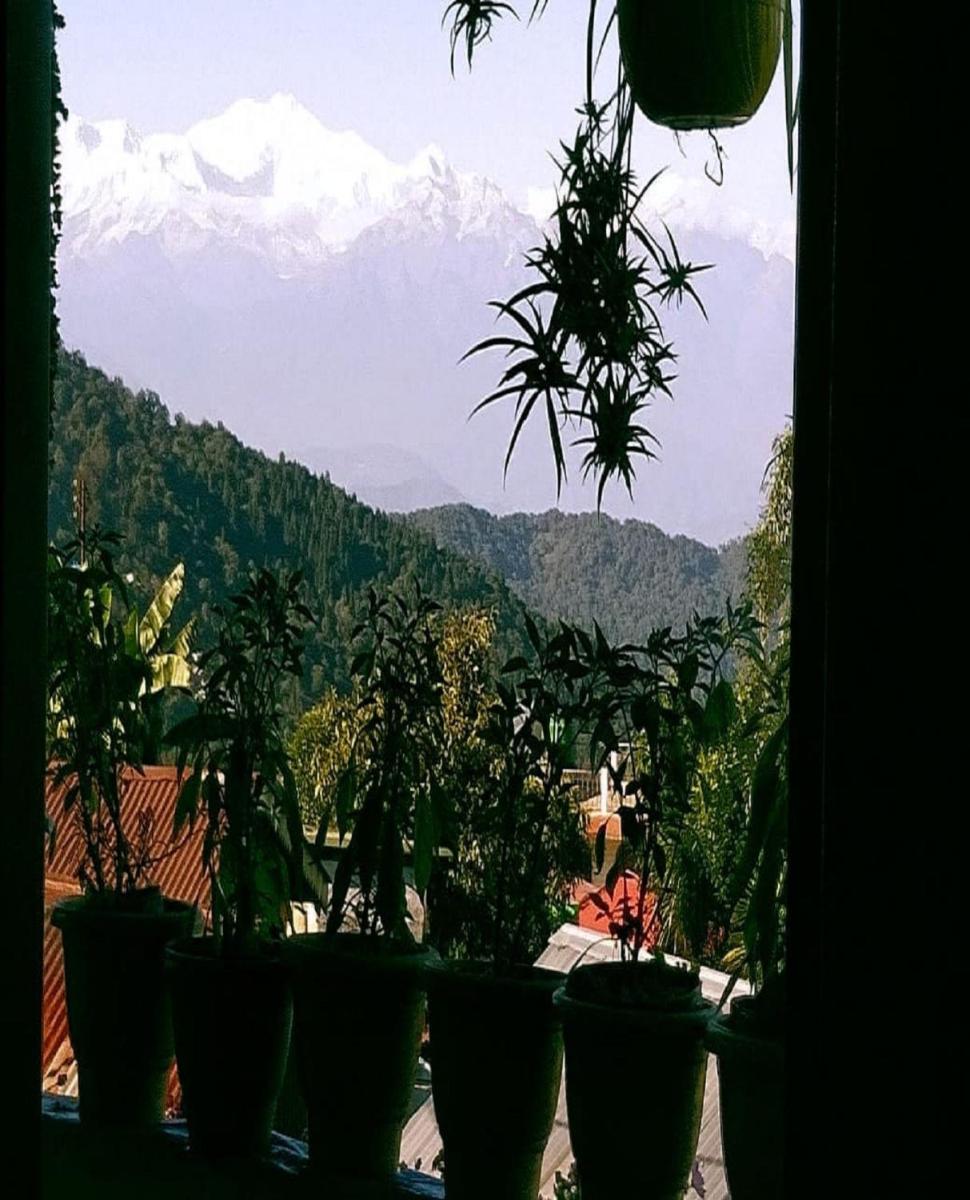 Chiten Homestay by StayApart view 5