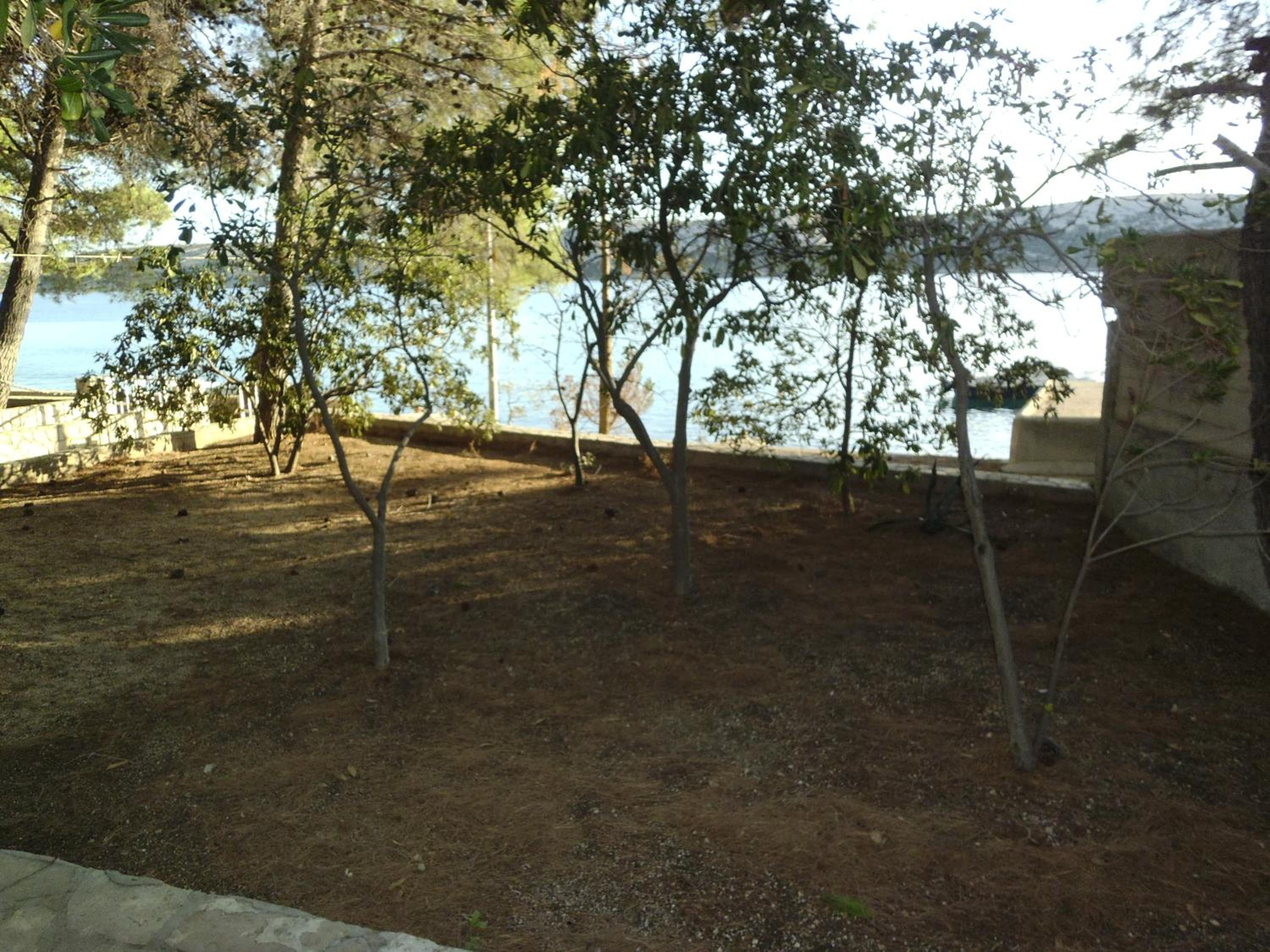 Photo 39