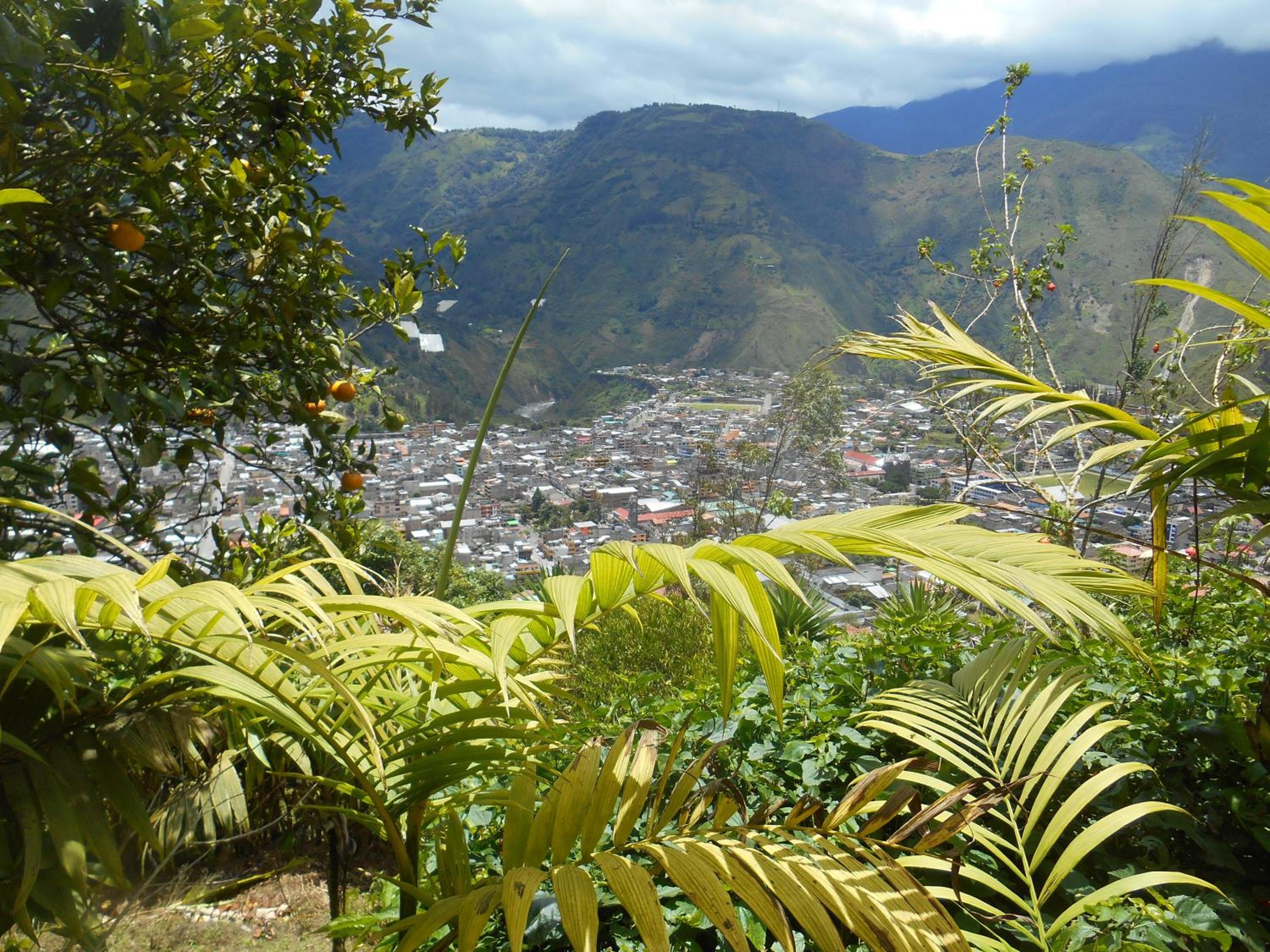La Casa Amarilla