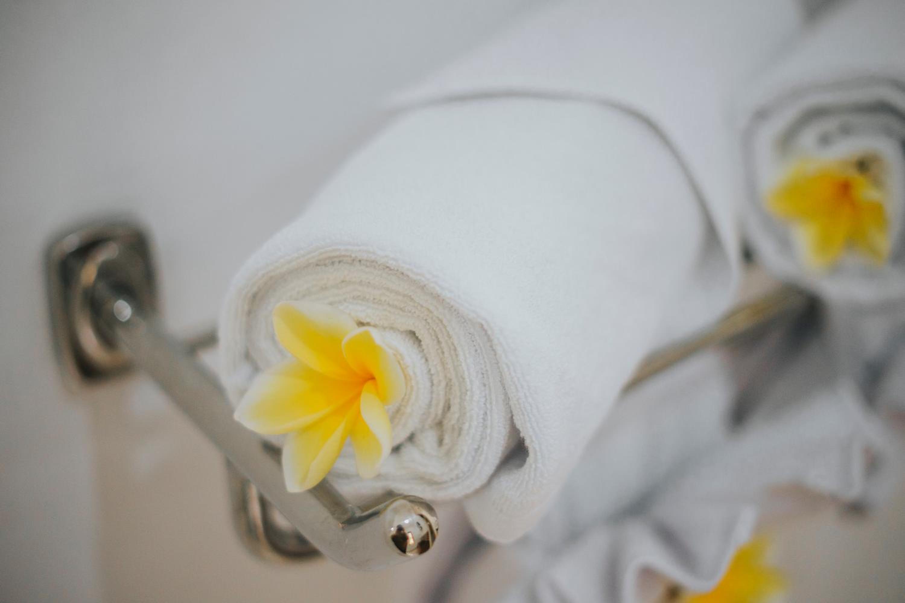 Alam Bidadari Seminyak