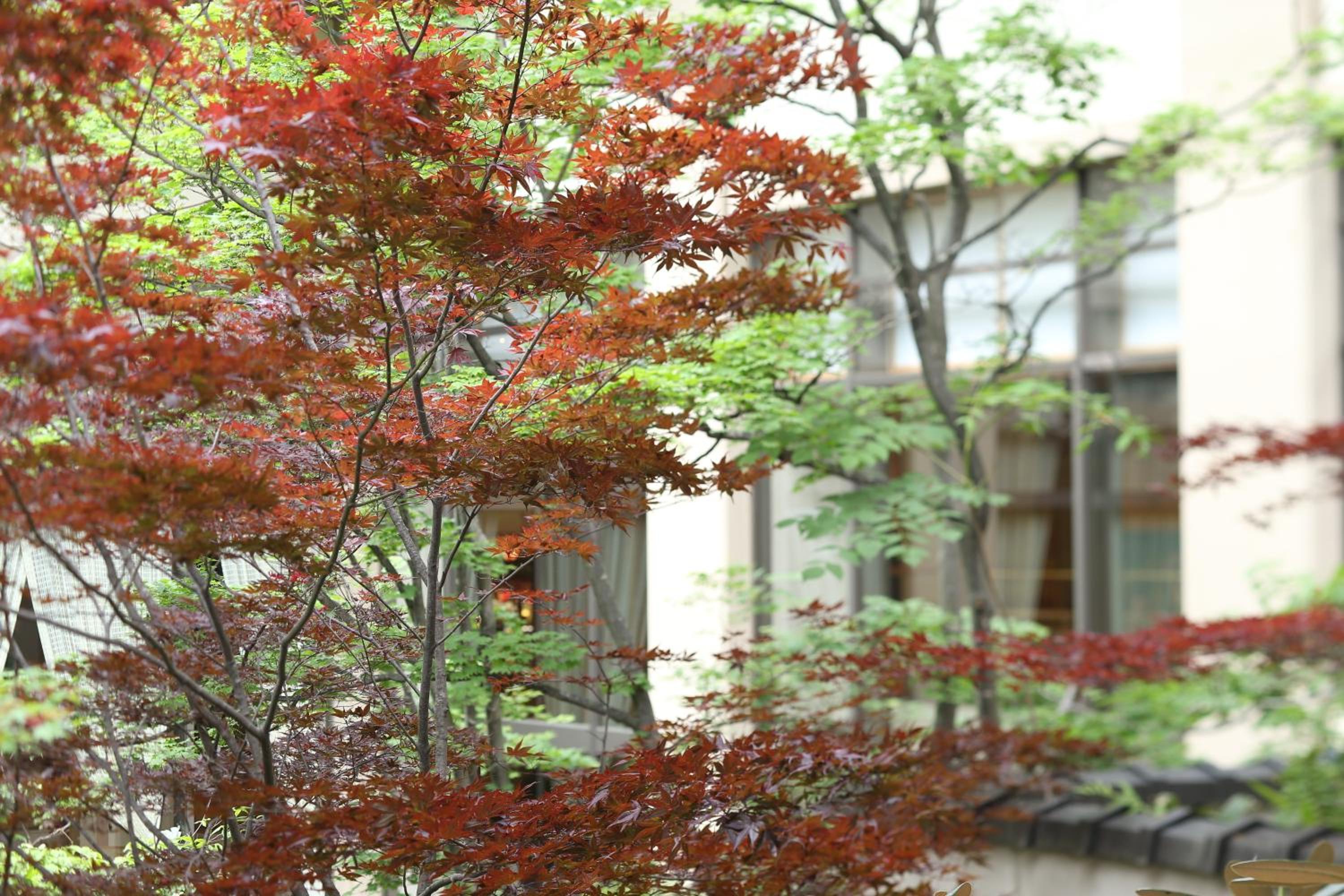 Hotel Sakurai, photo 63
