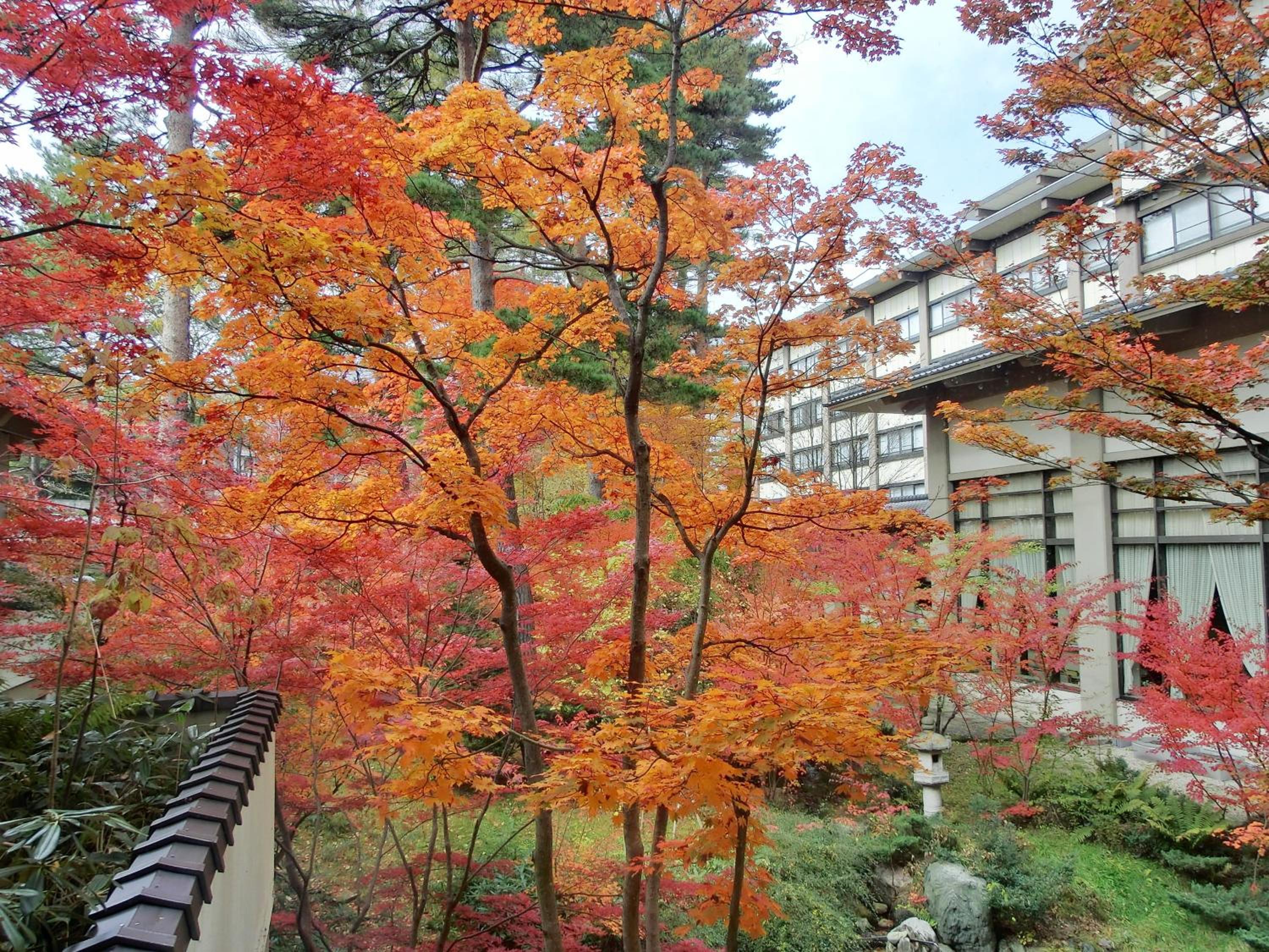 Hotel Sakurai, photo 52