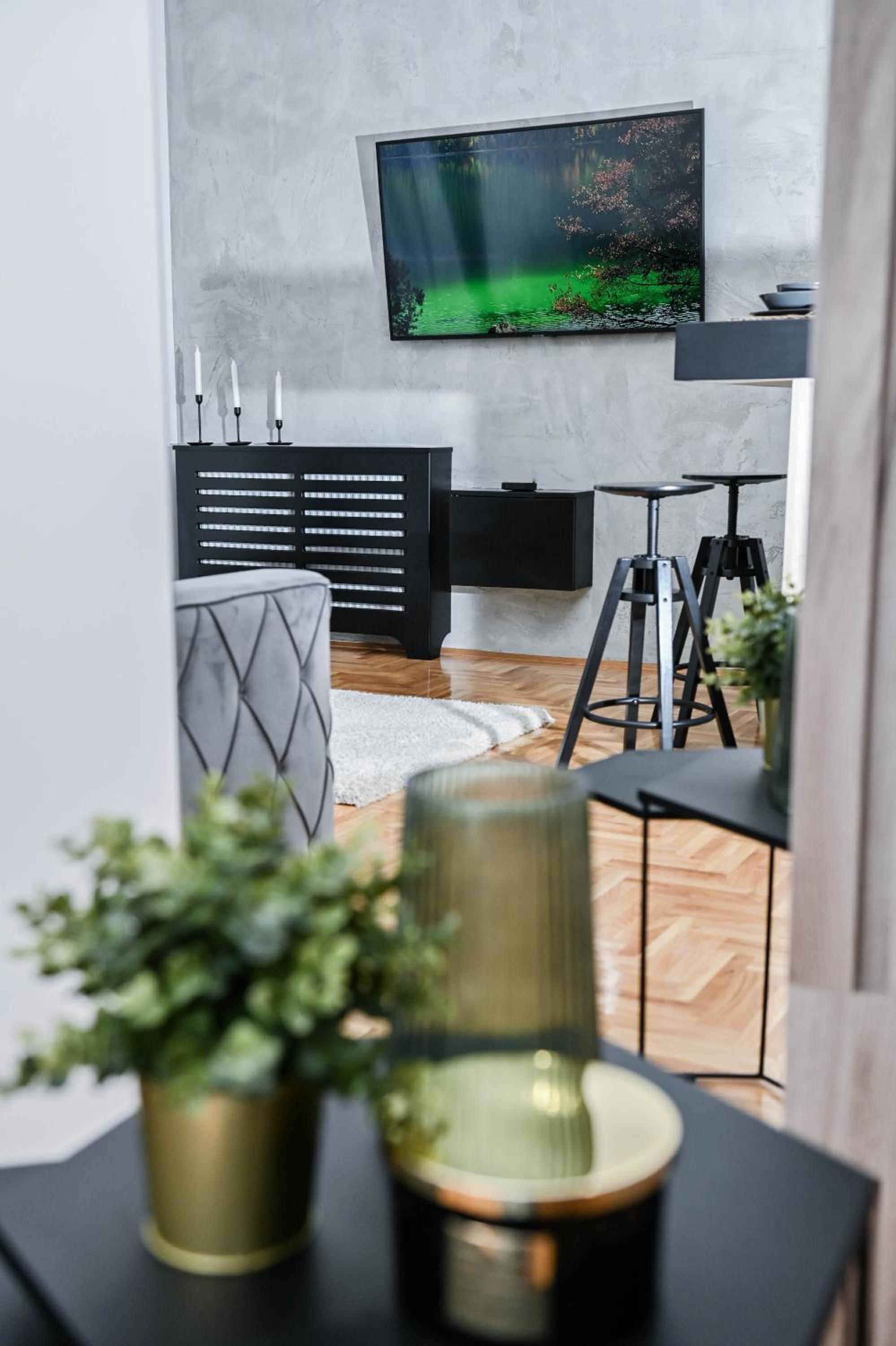 Cozy Apartment Plus view 2