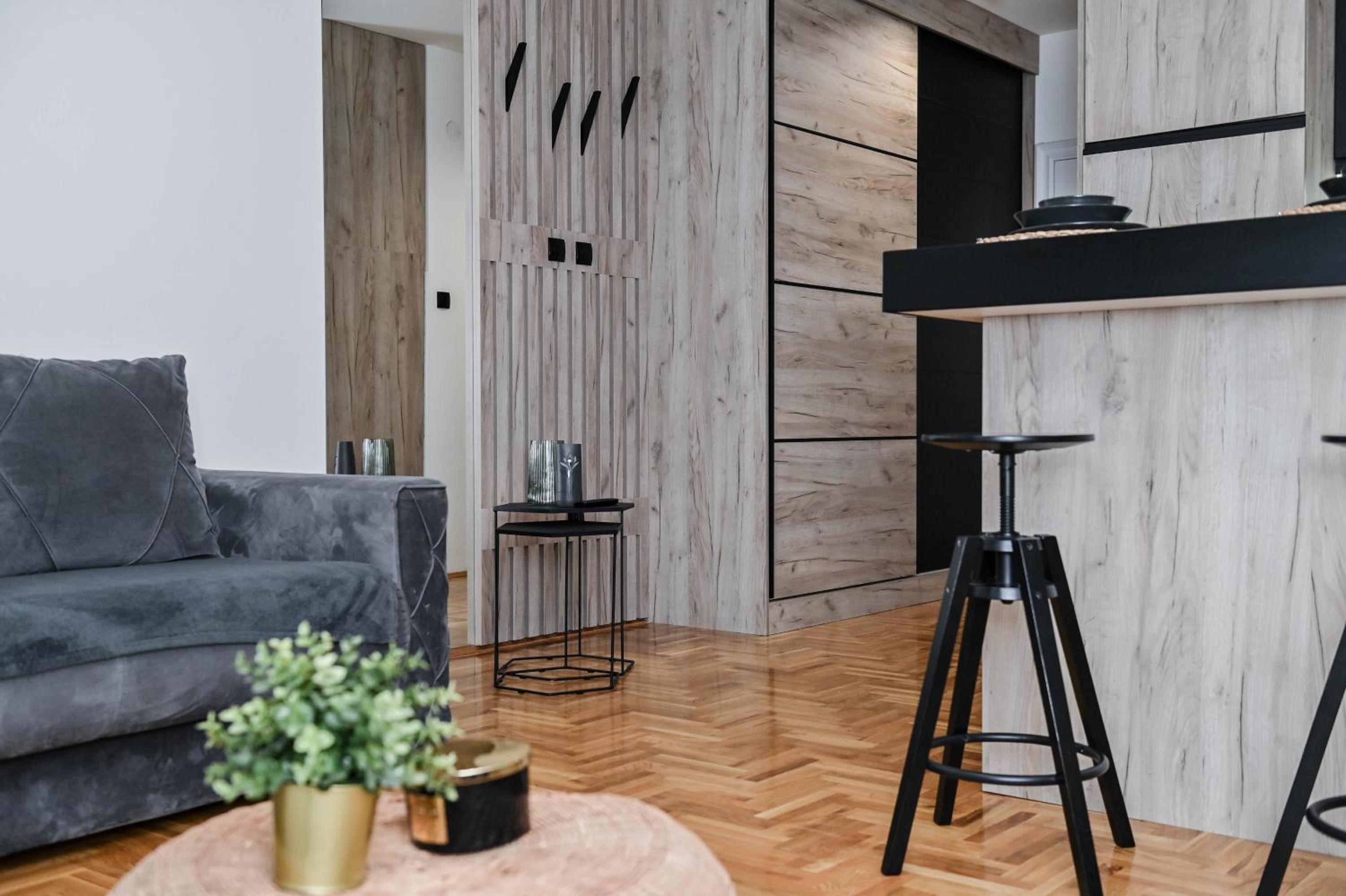 Cozy Apartment Plus view 4
