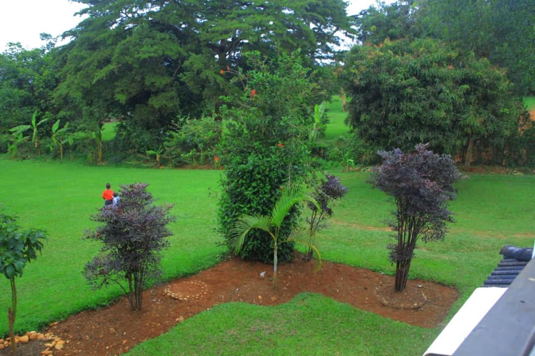 Egg Botanical View view 4