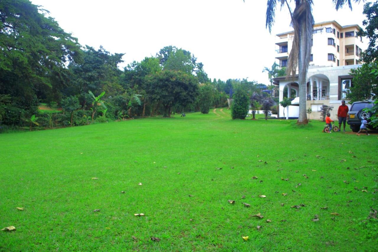 Egg Botanical View view 5
