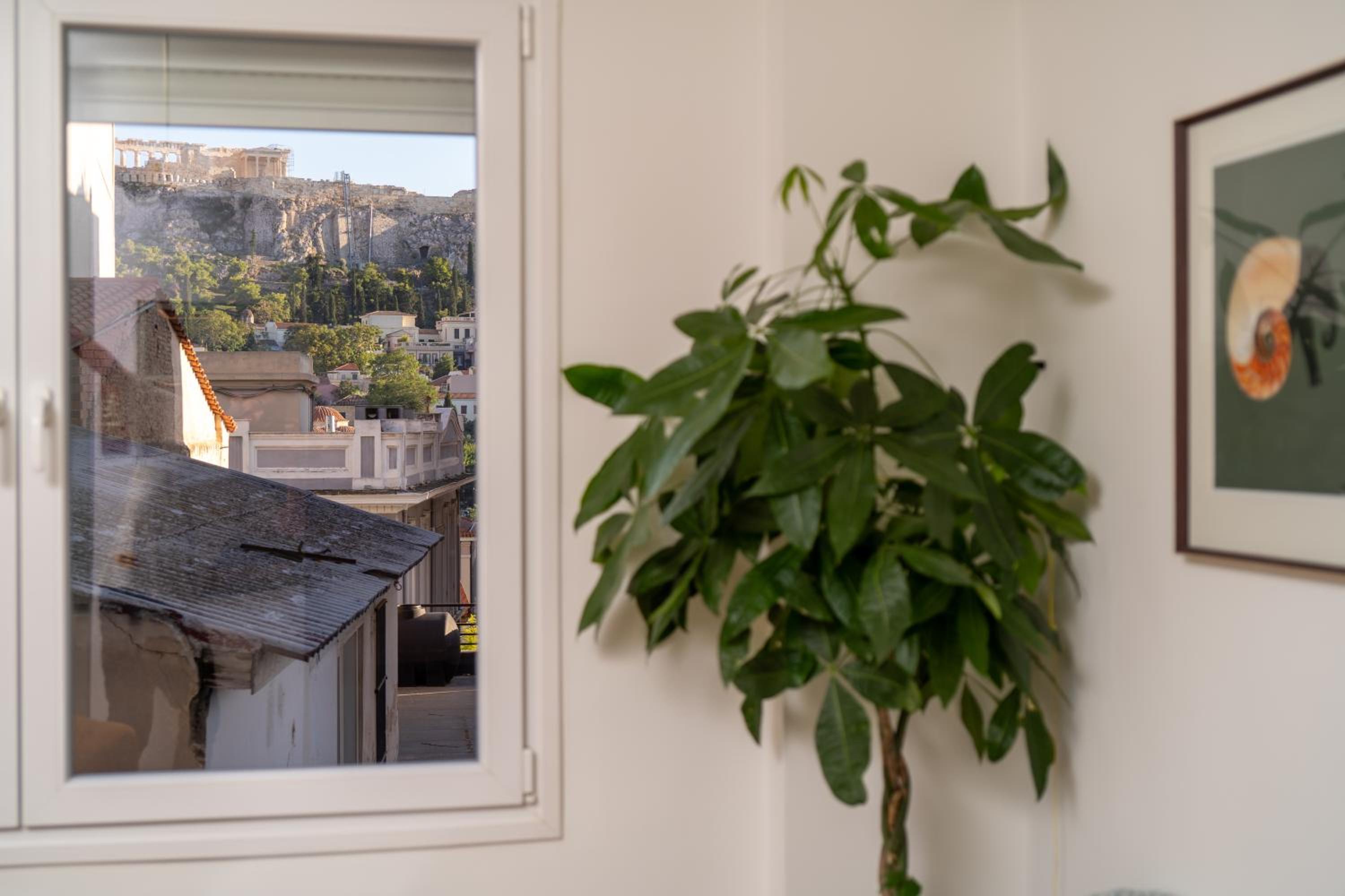The Nest Athens
