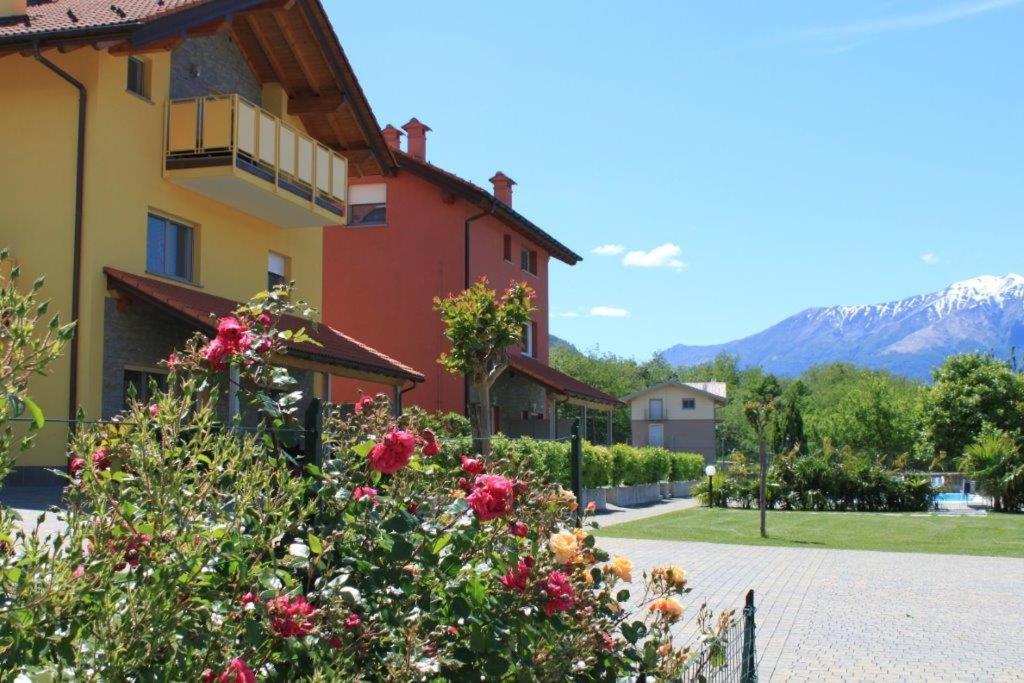 Rose Rossa Larissa Garten Ferienwohnung EG