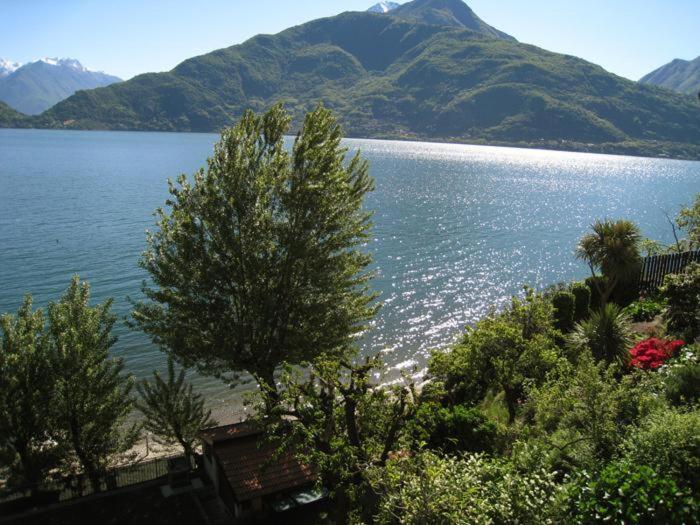 Nido alla Riva - Falco Ferienwohnung view 2