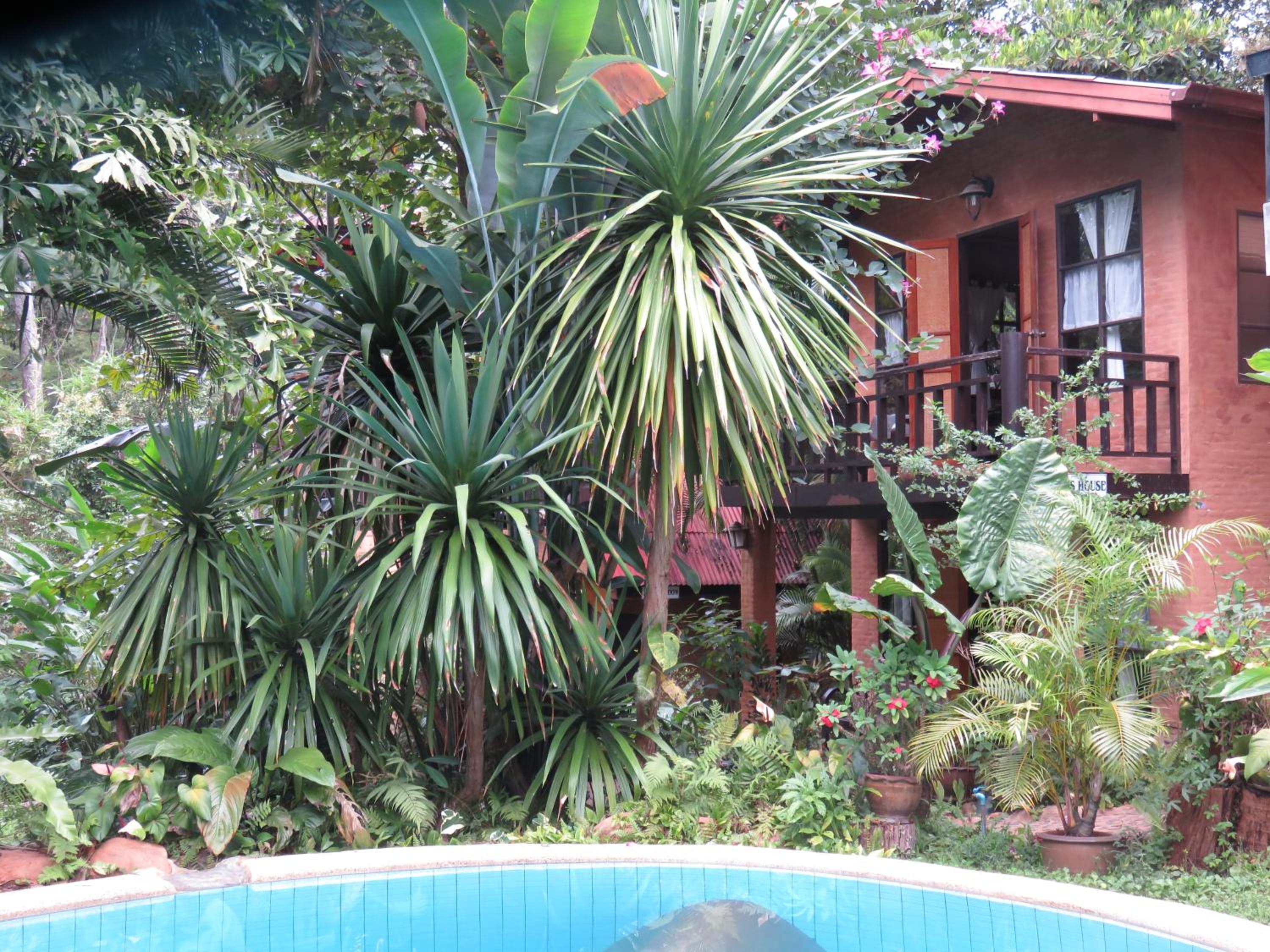 Little Eden Guesthouse