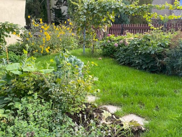 Dresden Vacations - Apartment am HohenRand Dresden Leubnitz - Property Image 8