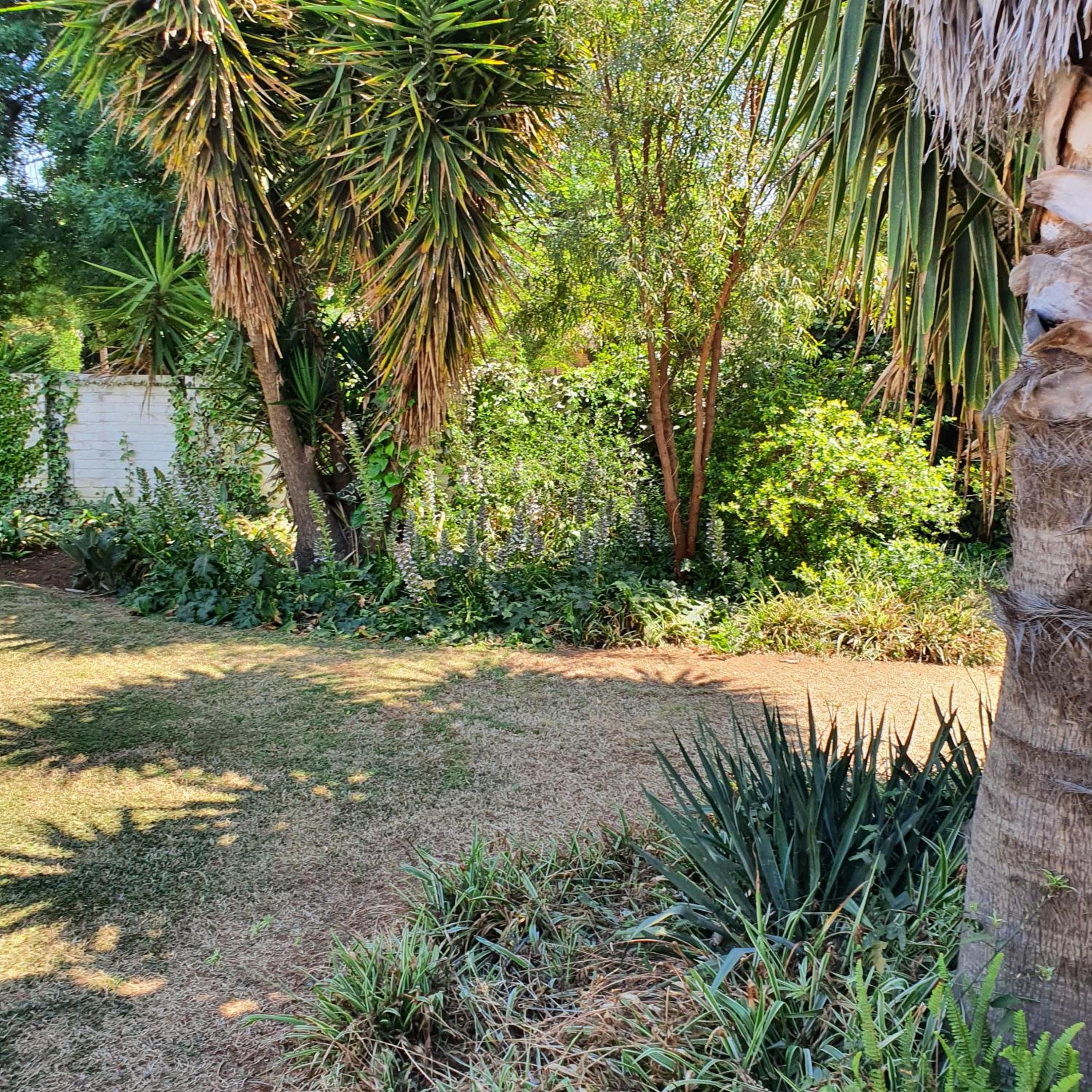 New Beginnings B&B view 5