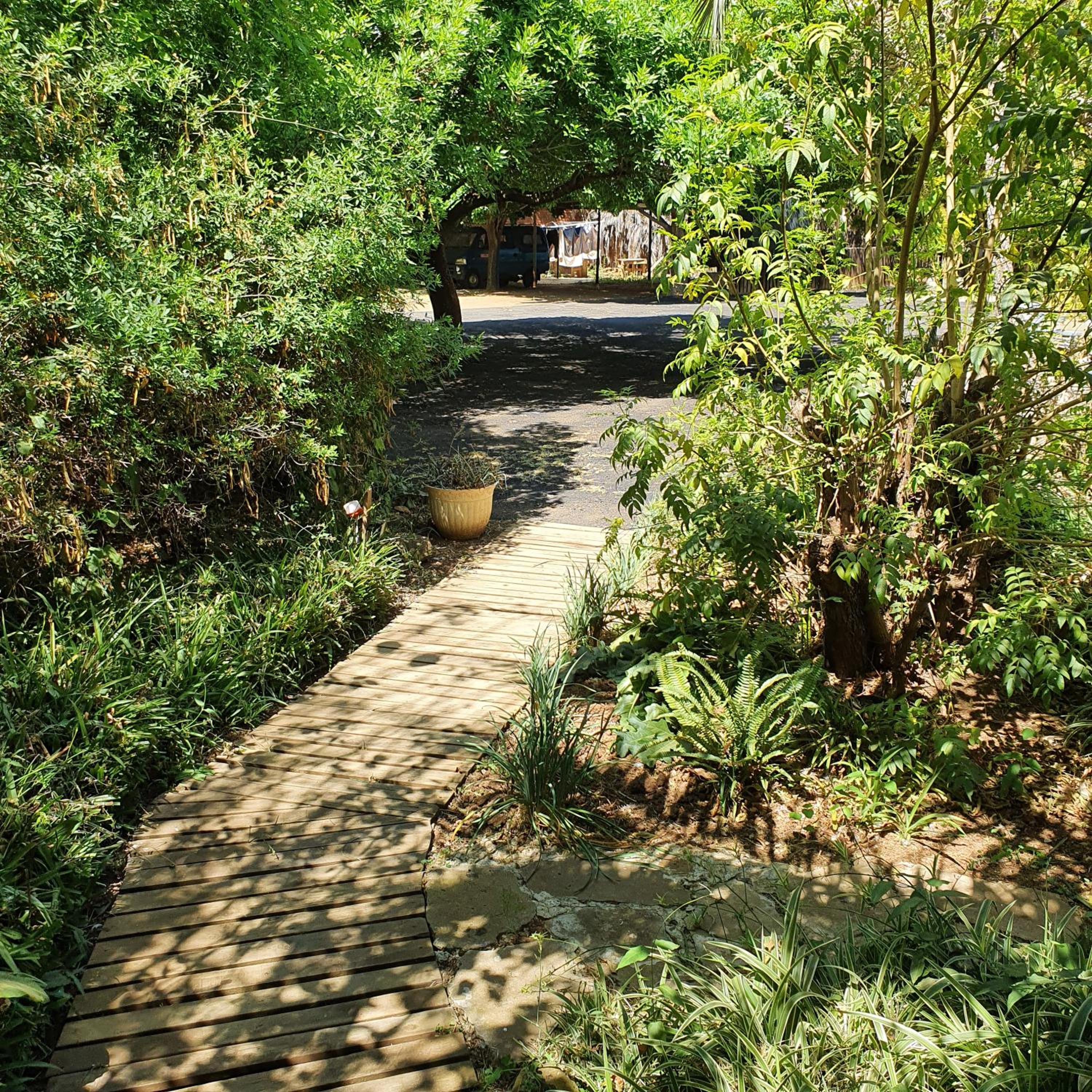 Photo 11