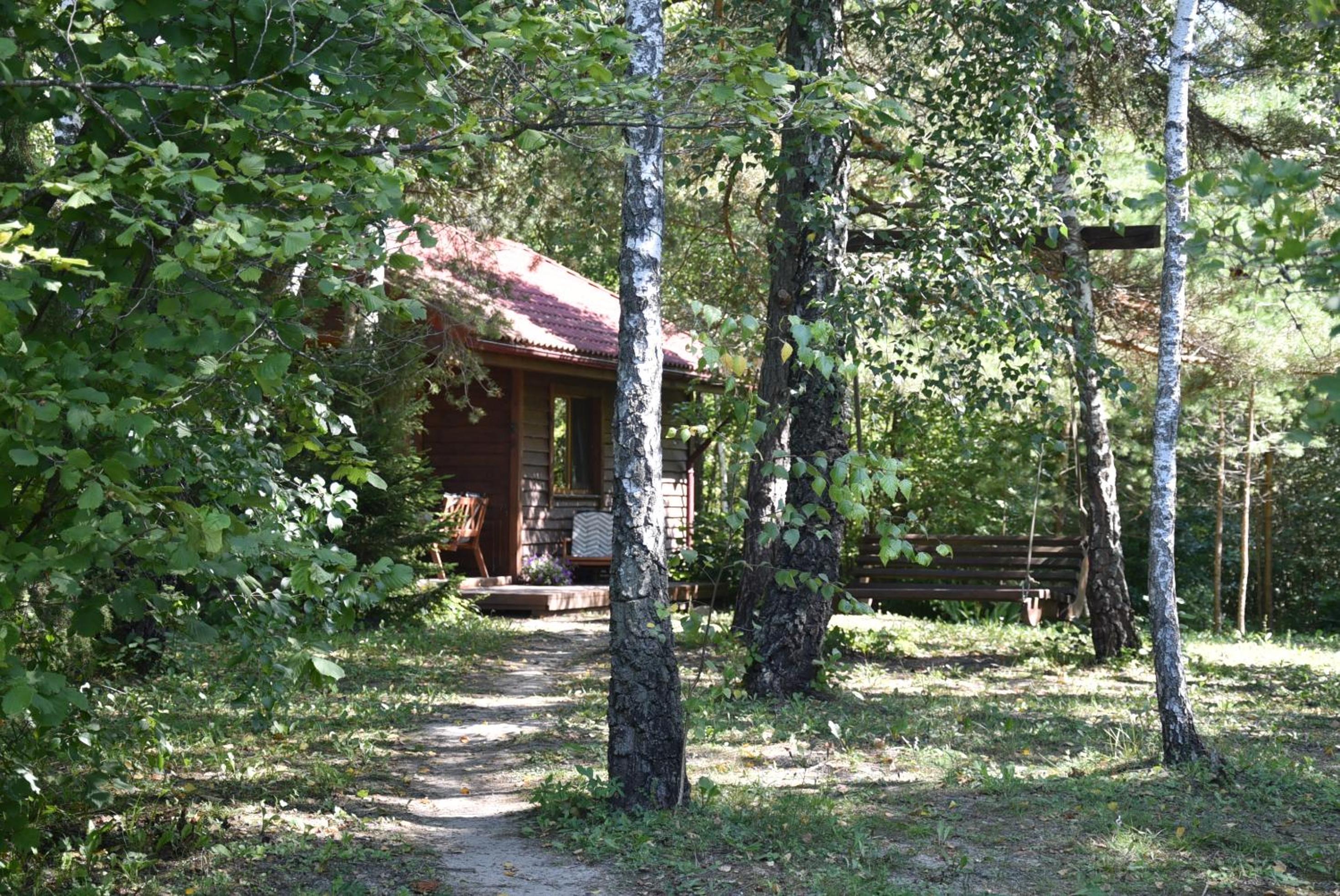 Photo 20