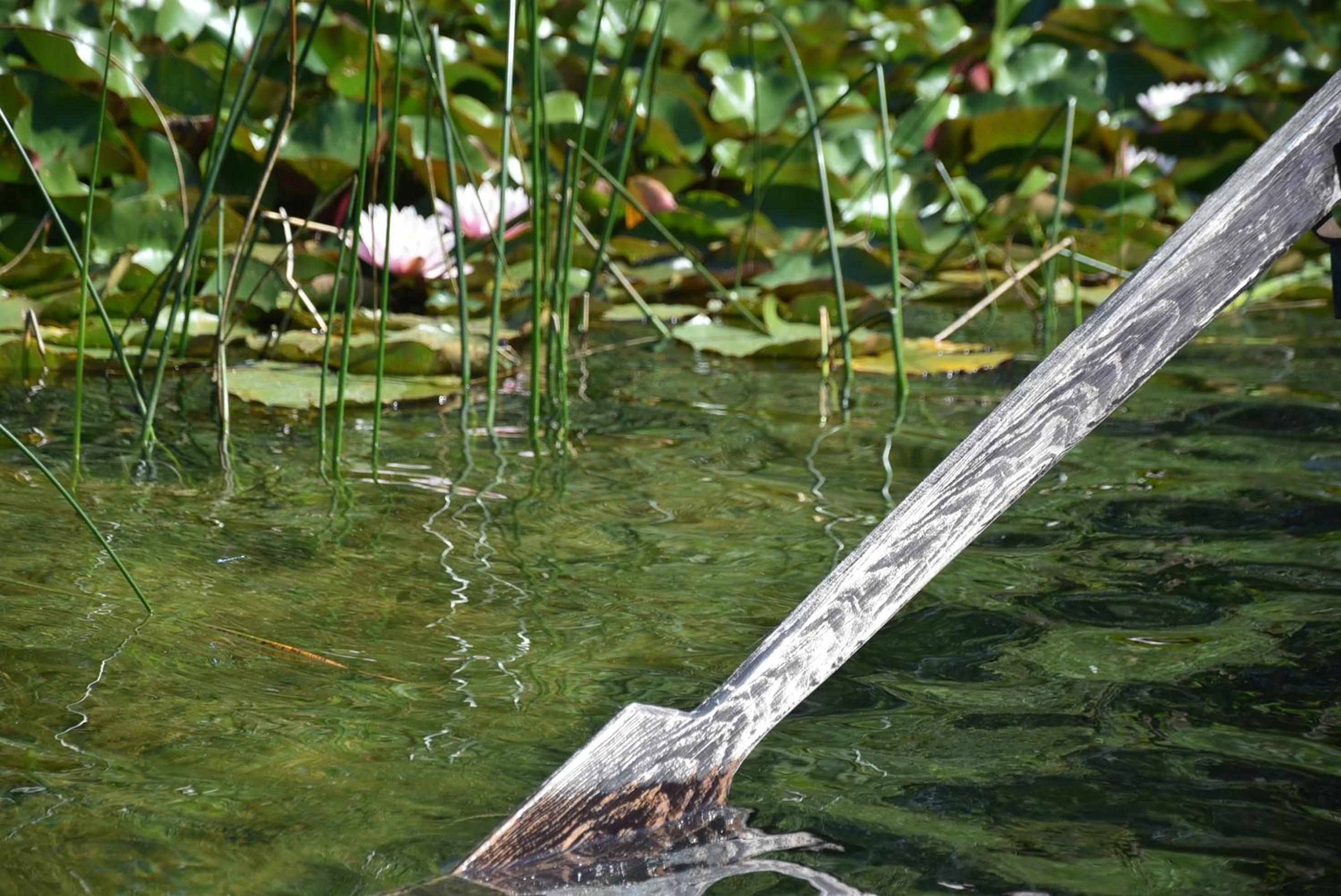 Photo 42