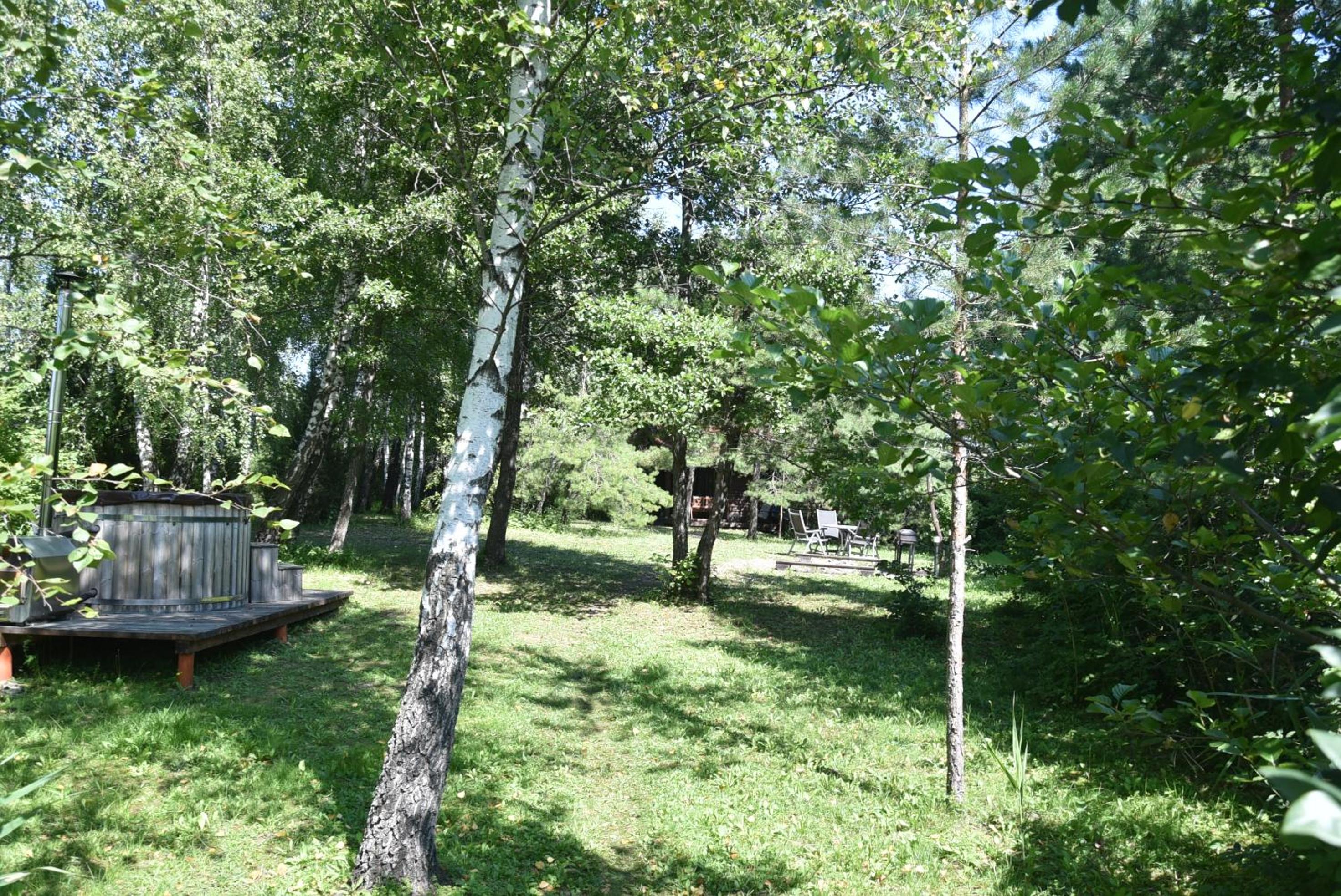 Photo 37