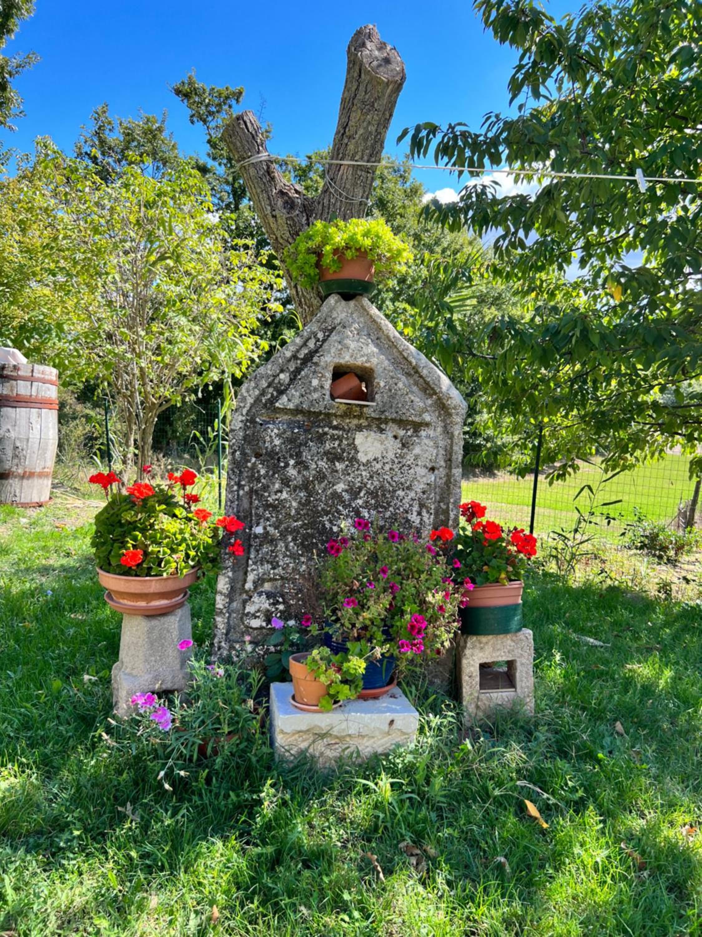 Photo 104