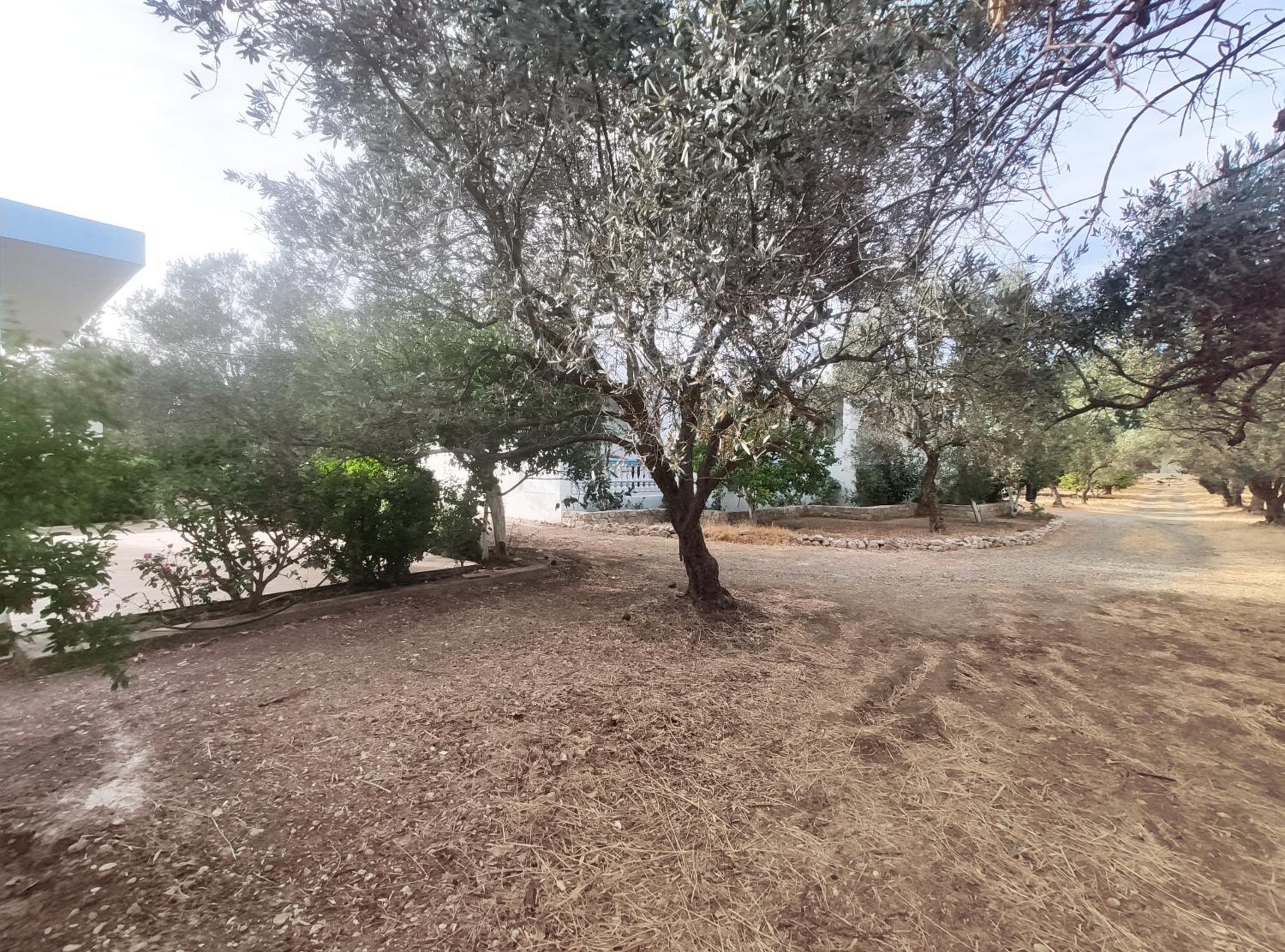 Kolymbia Cottage