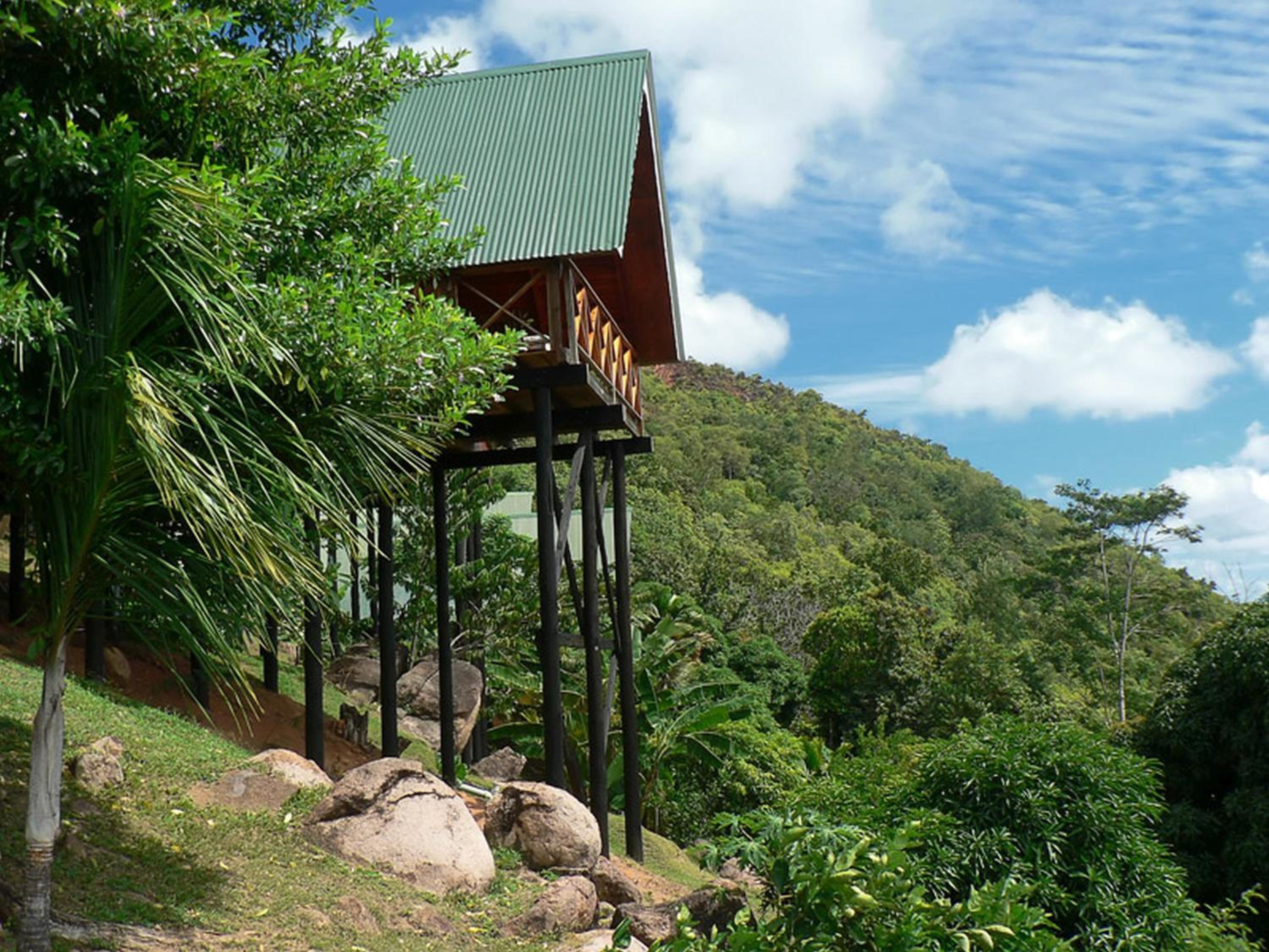 Mango Lodge, photo 10