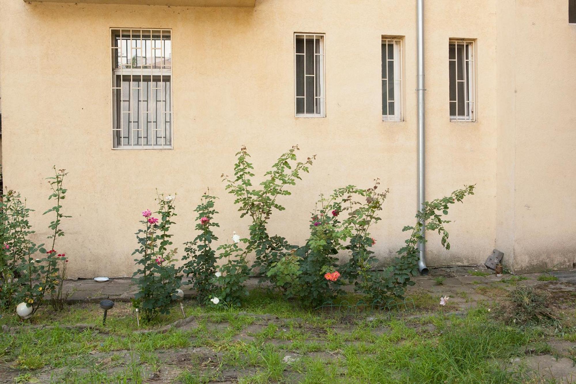 Botev Apartment view 3