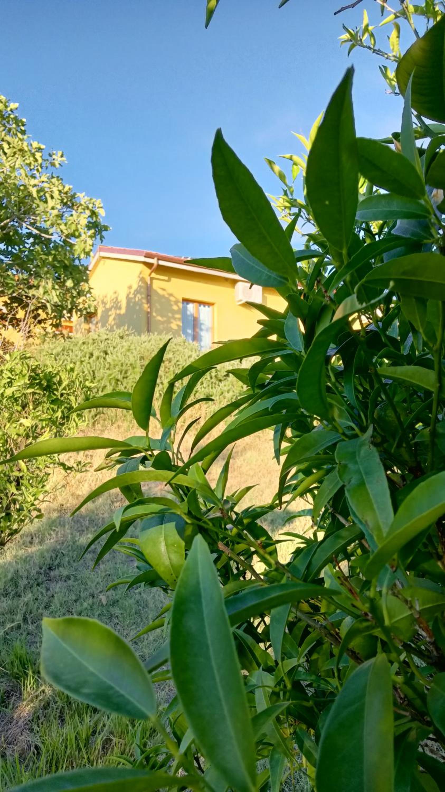 Agriturismo I Ciliegi Appartamento Ginestra view 3