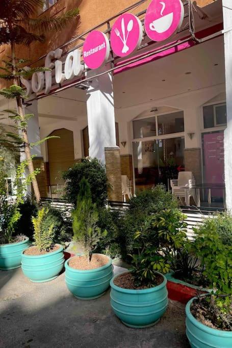 Riad Nekhla view 5