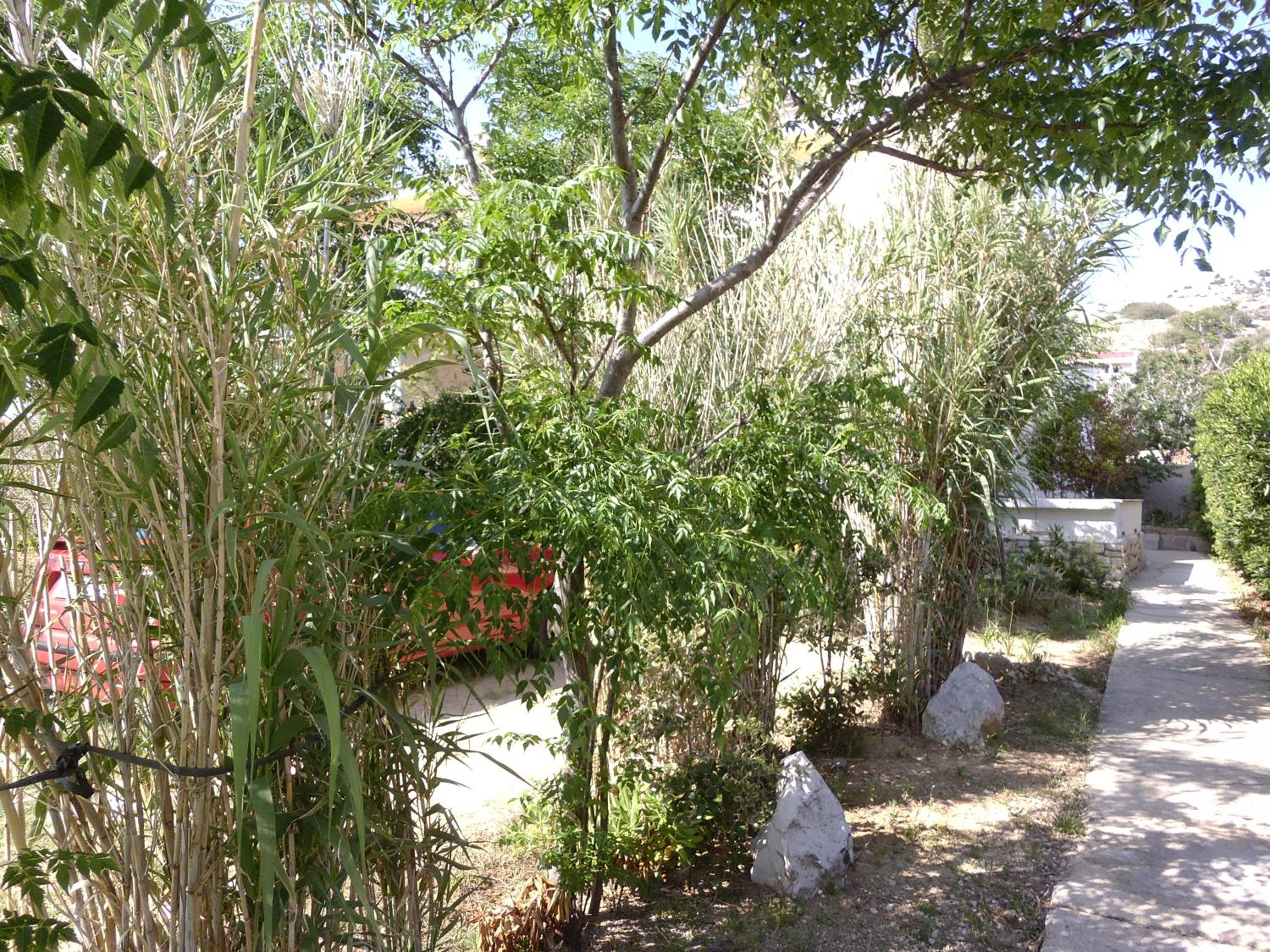 Photo 39