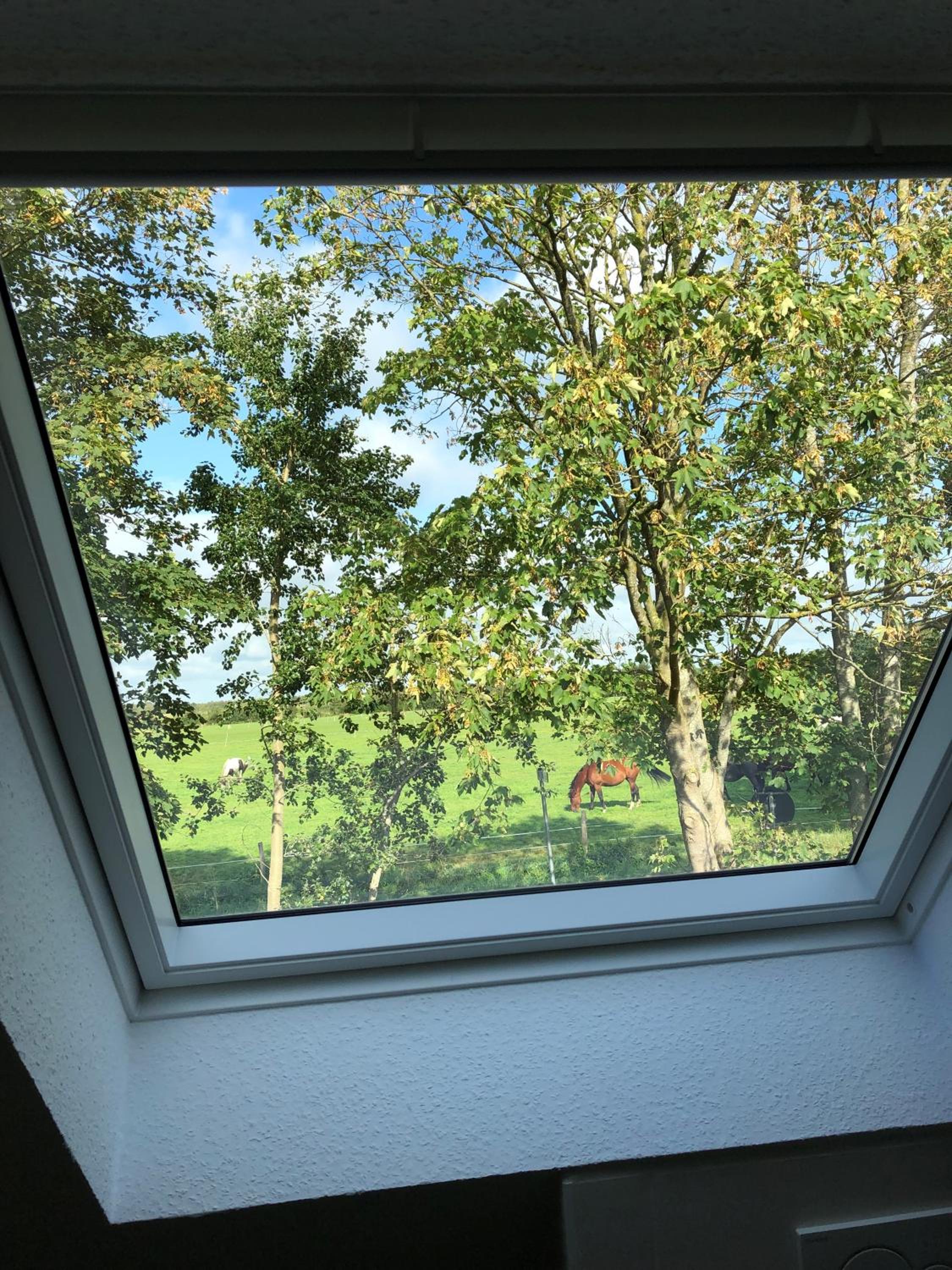 Ferienhaus Maja am See