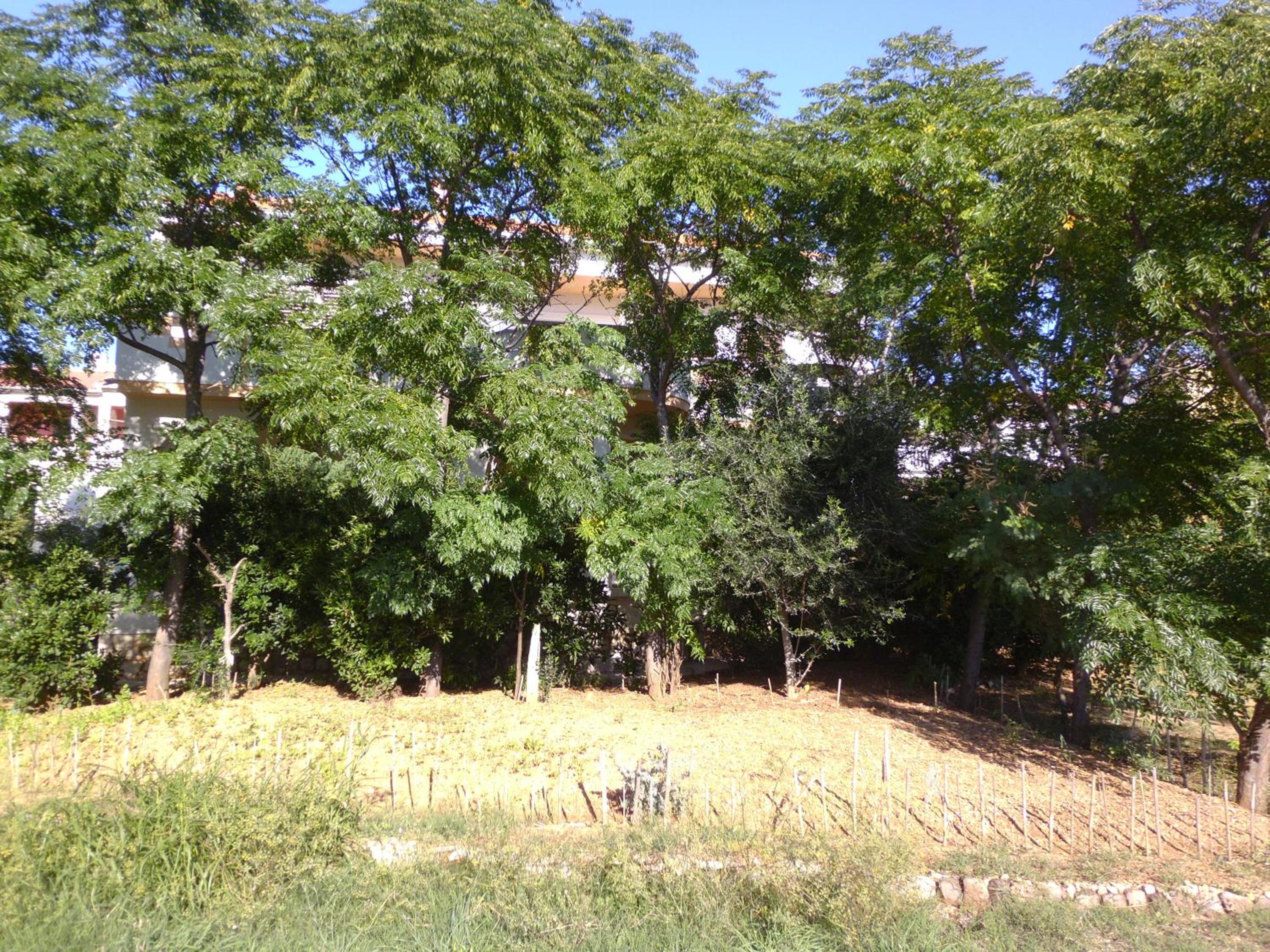 Photo 59