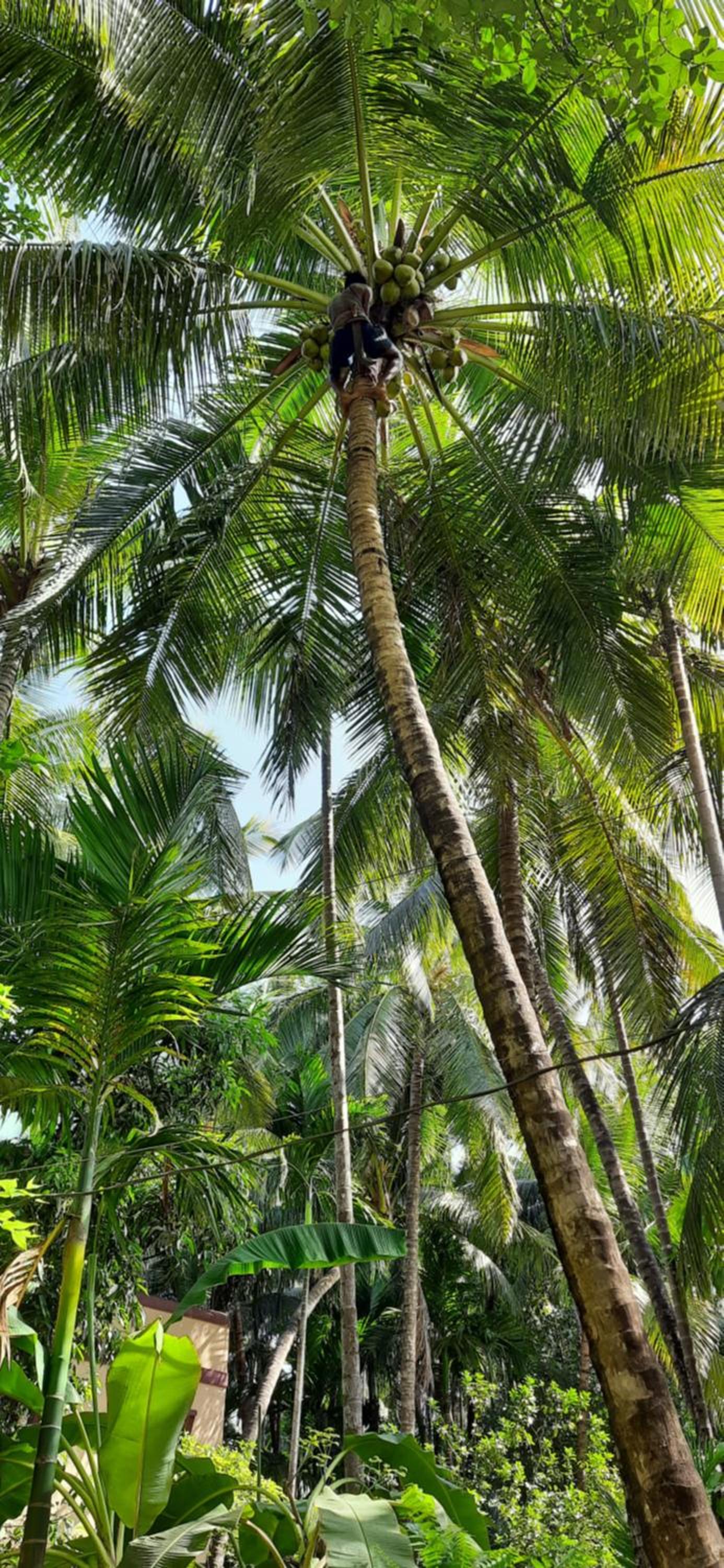 Bageecha B&B- Vaayu, photo 98